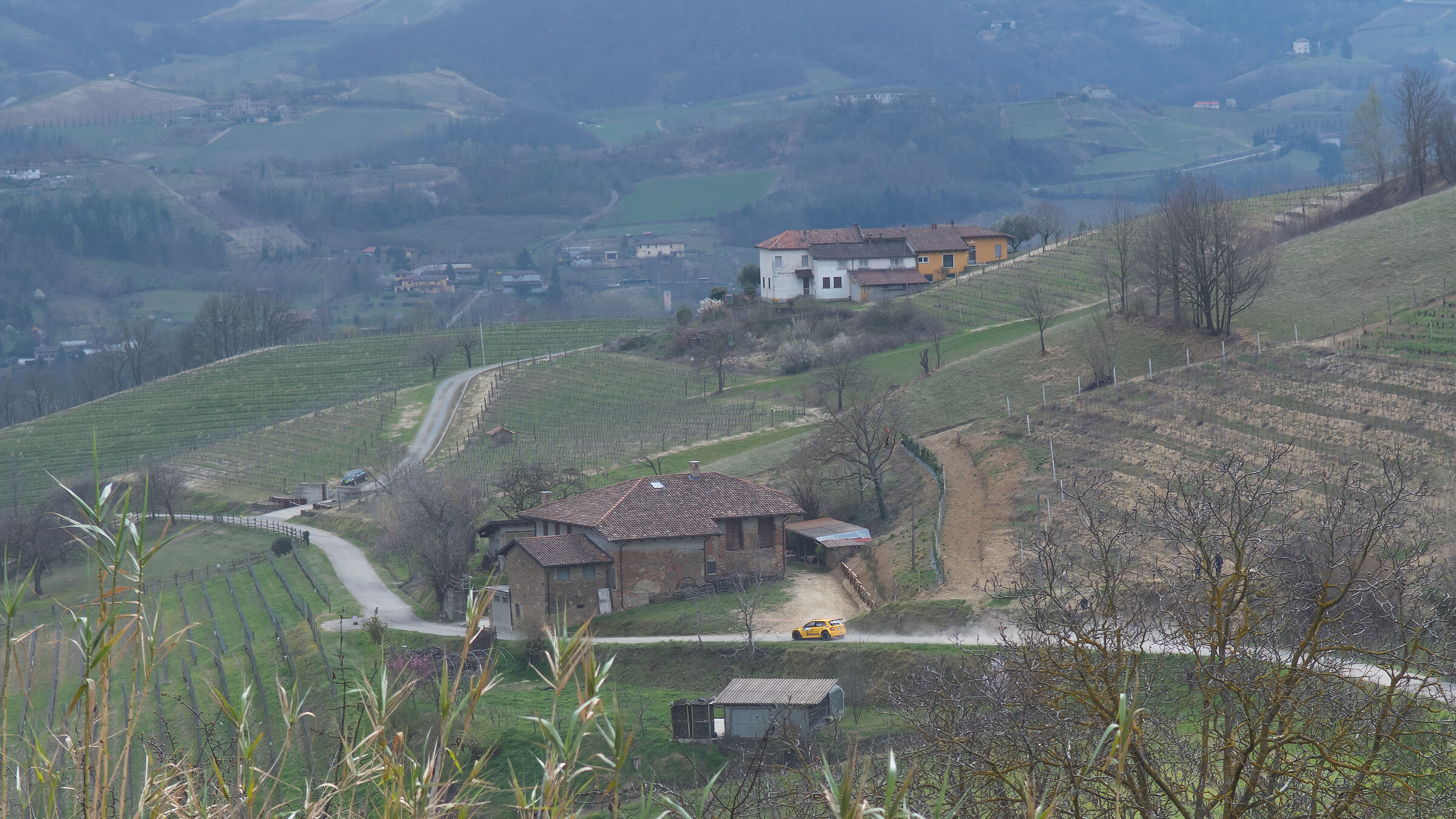 Rally vigneti monferrini 23