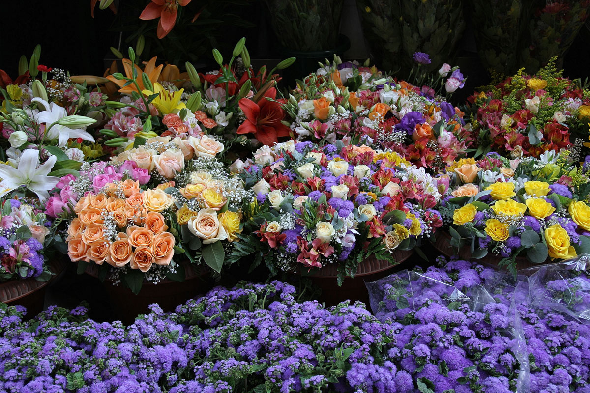 L'allegria dei fiori