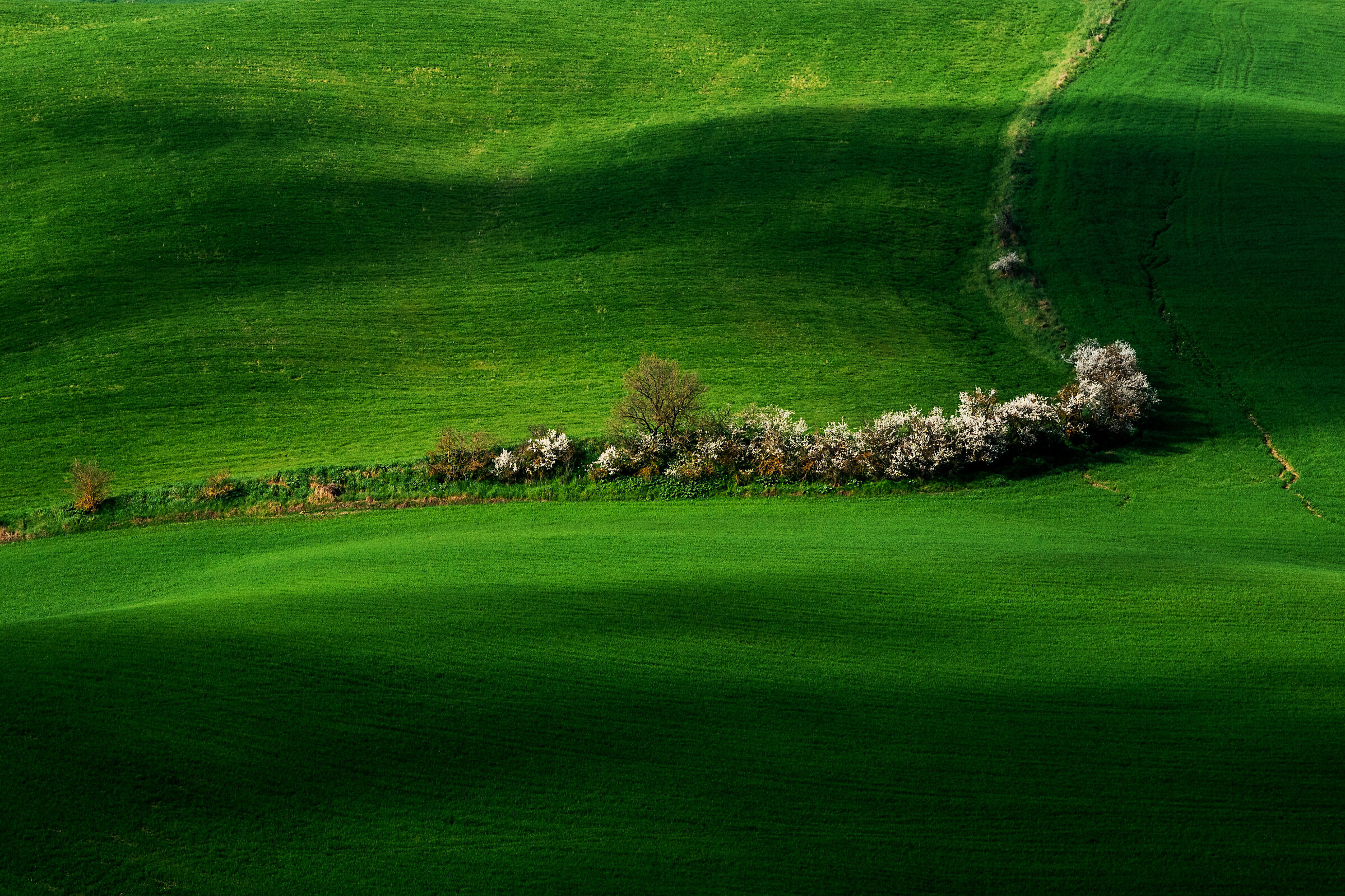 Spring...