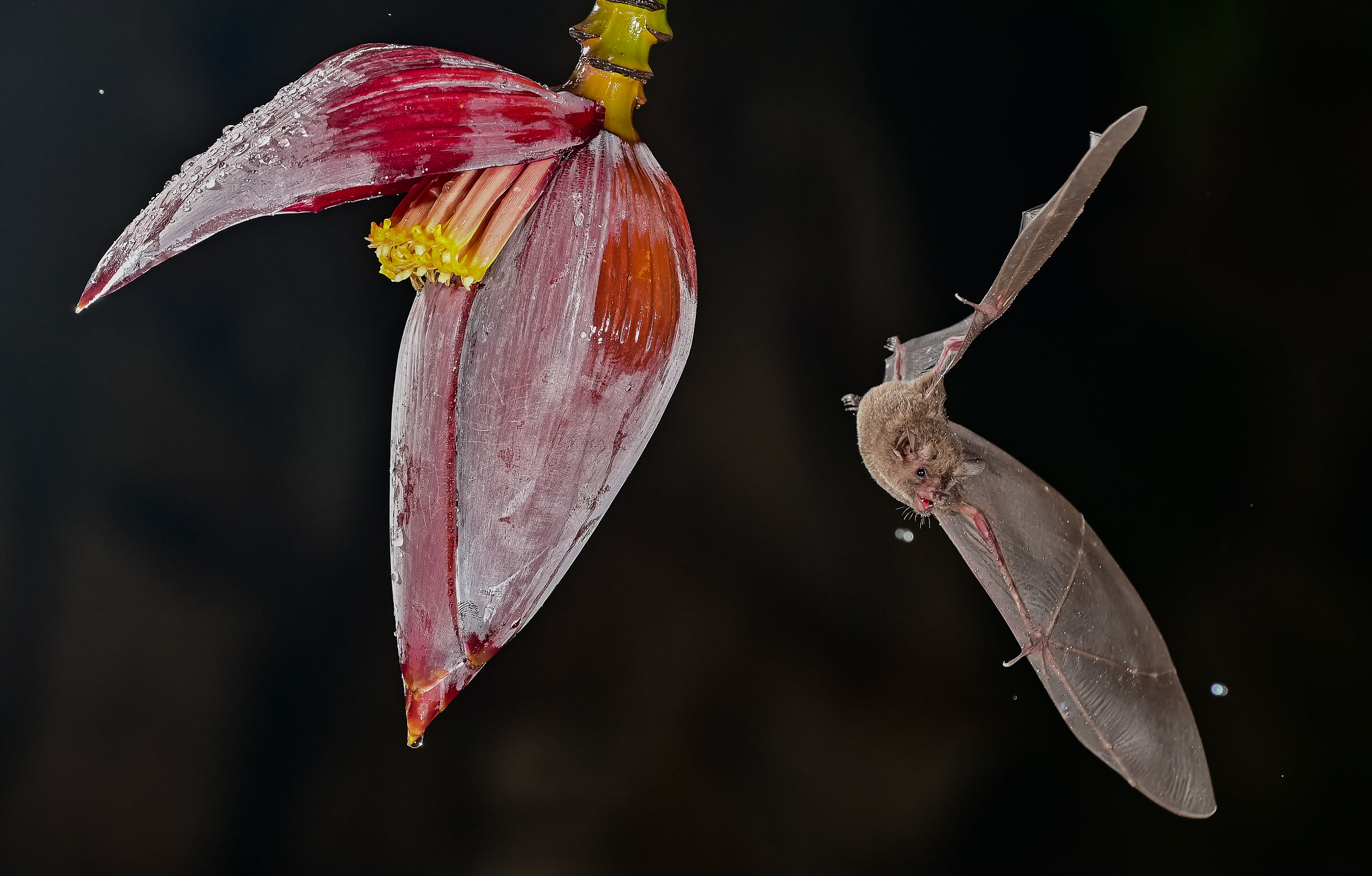 Volo in una notte di pioggia