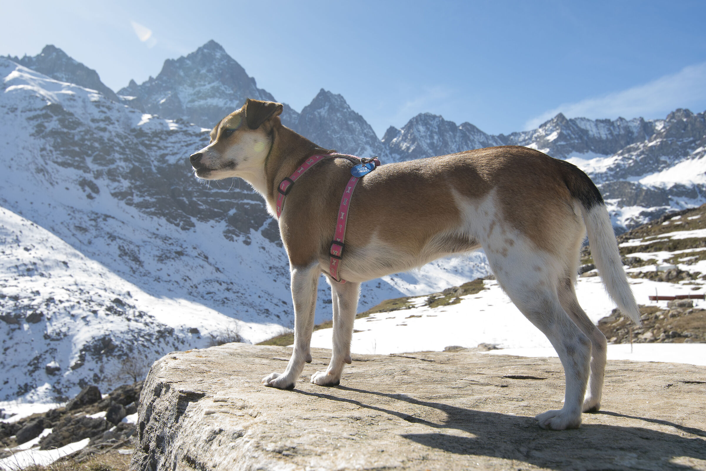 La reginetta di casa ed il Re di pietra...