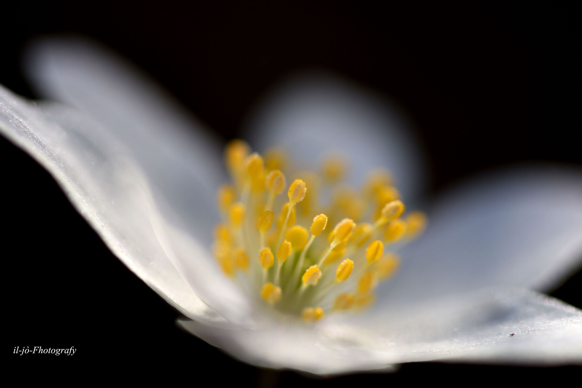 Untitled Photo