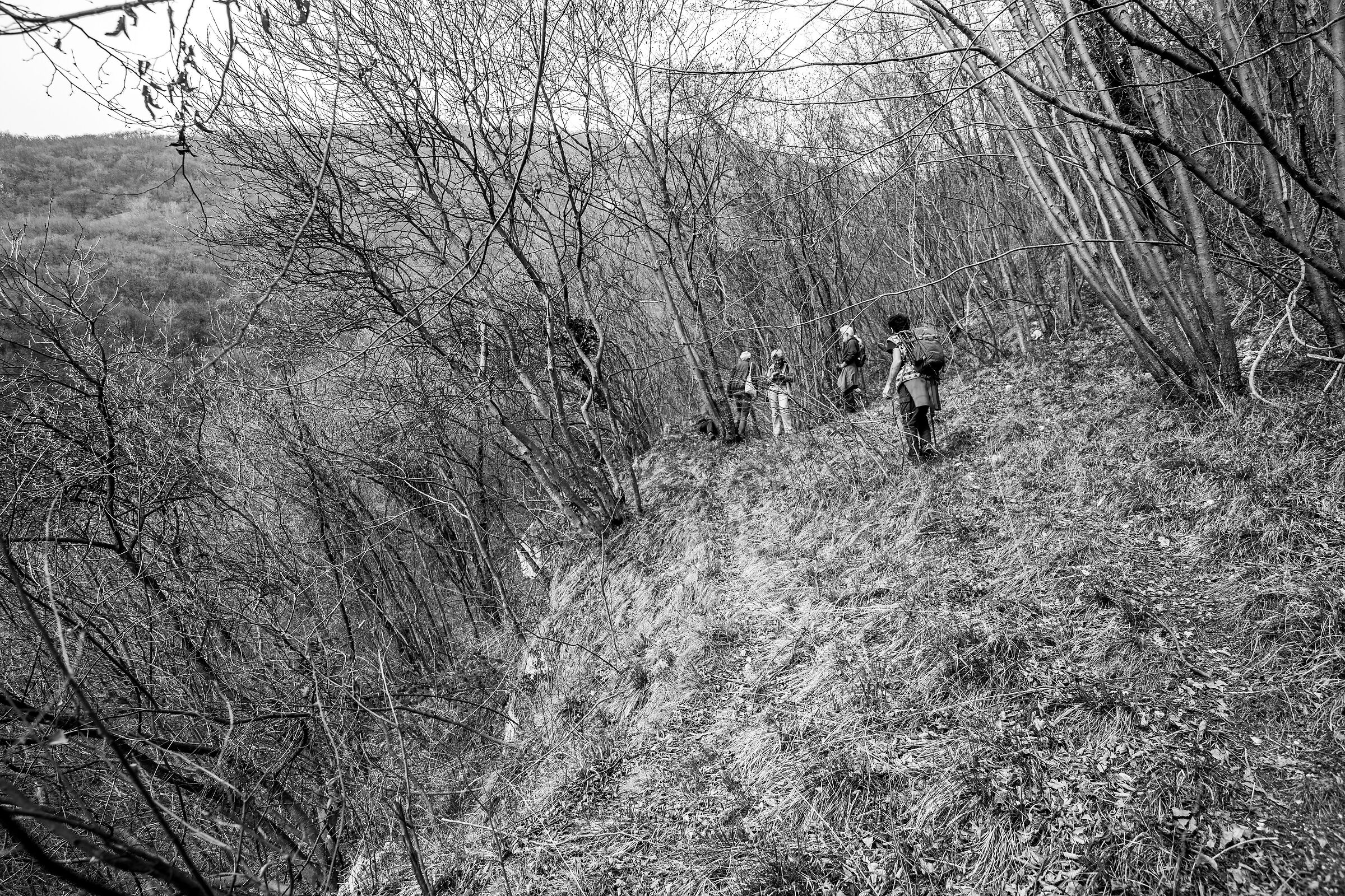 Sentiero del disertore