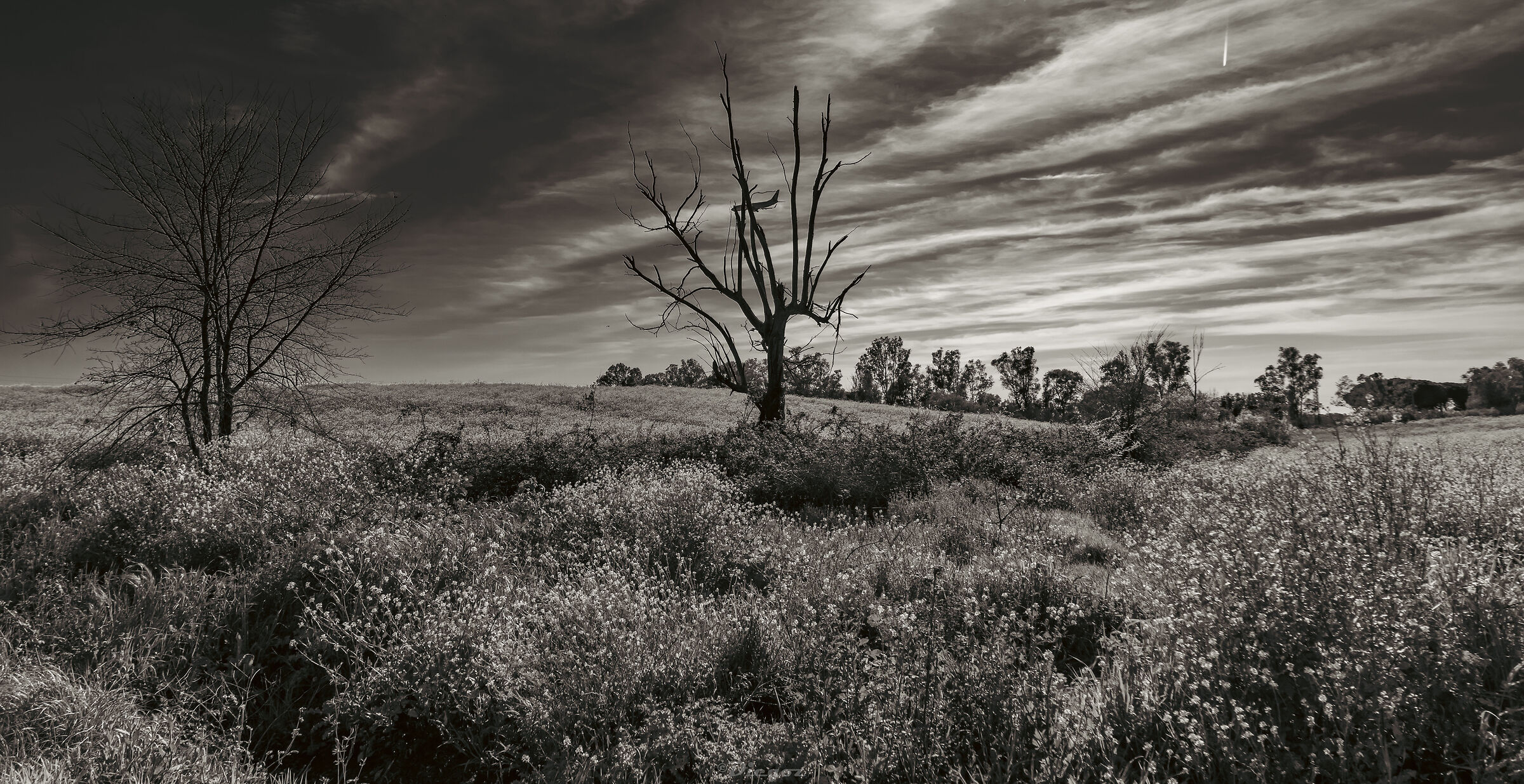 Untitled Photo