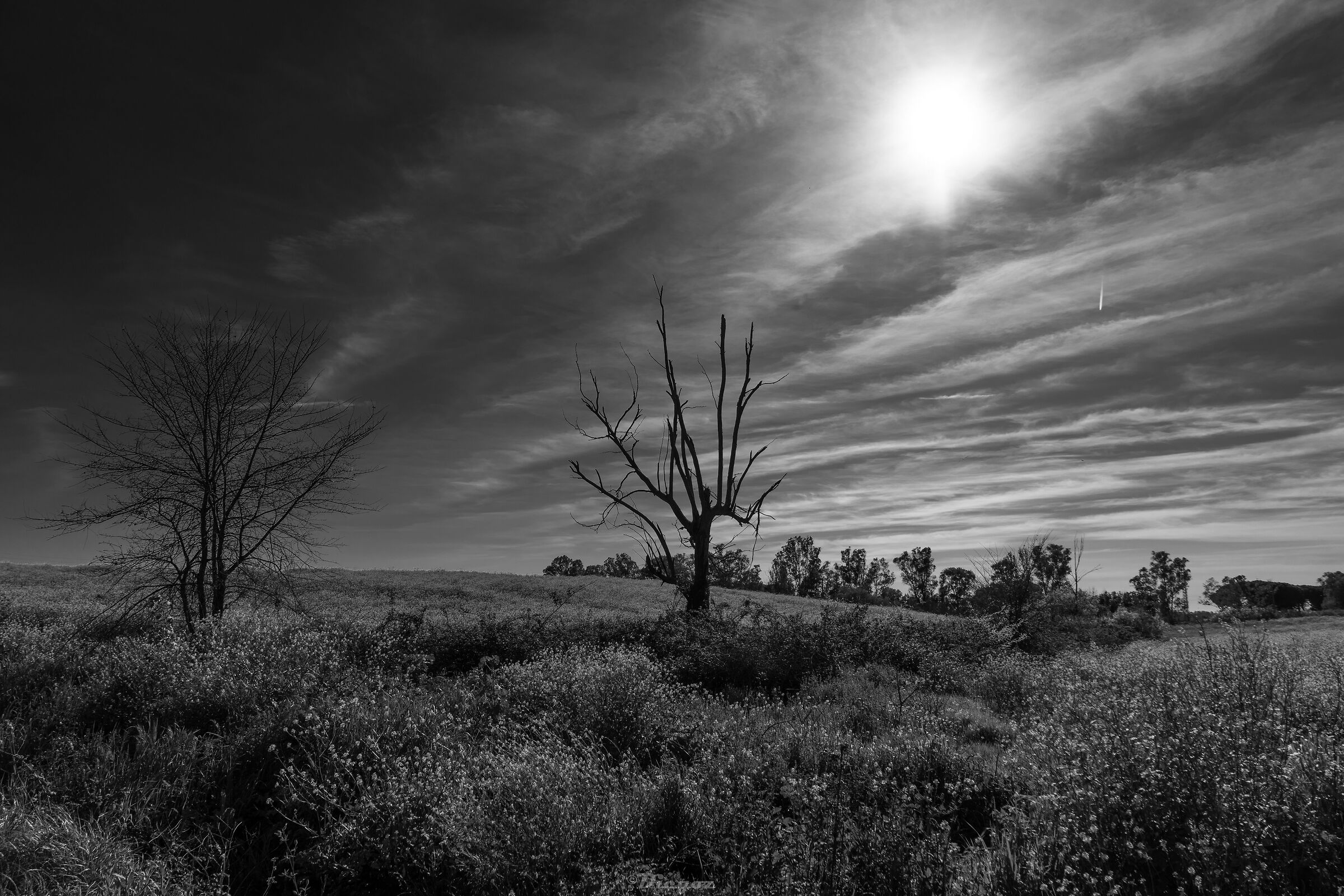 Untitled Photo