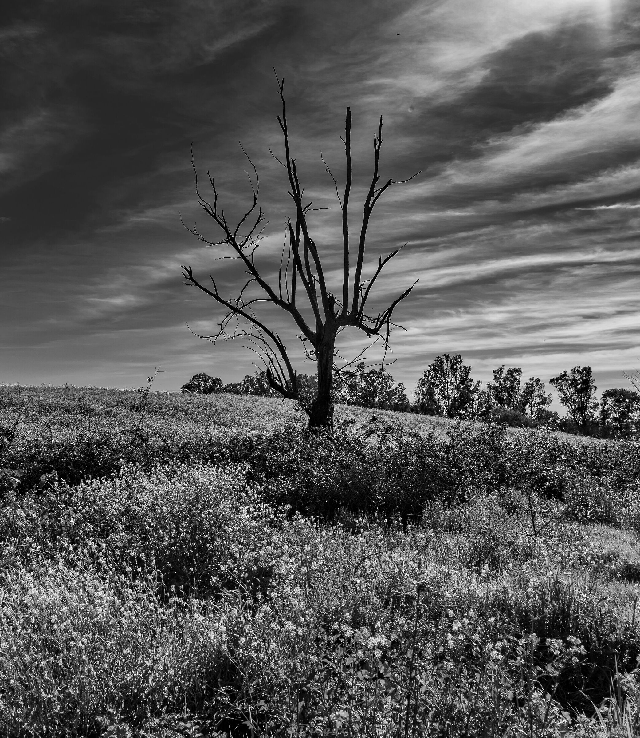Untitled Photo