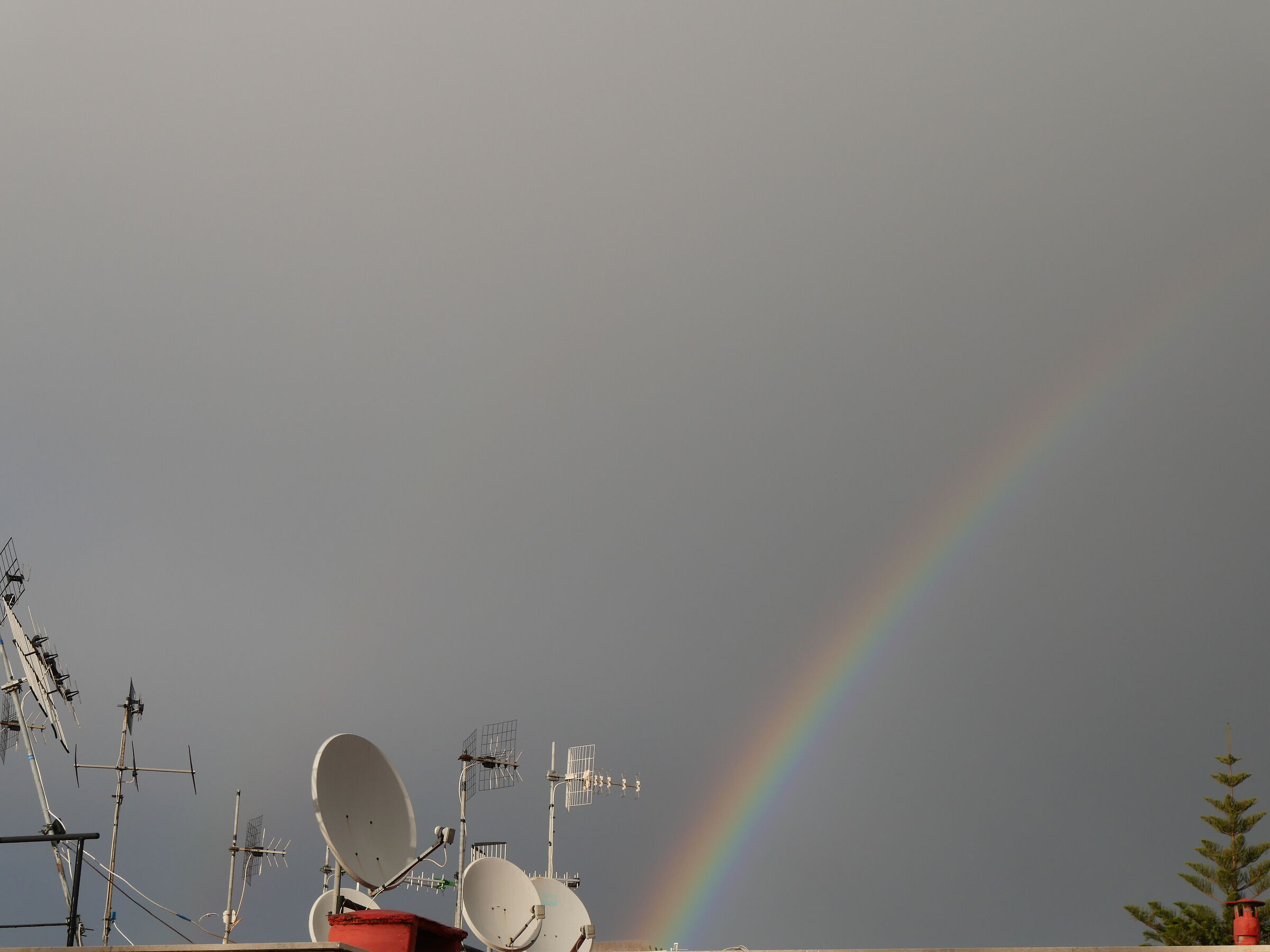 Parables and Rainbow