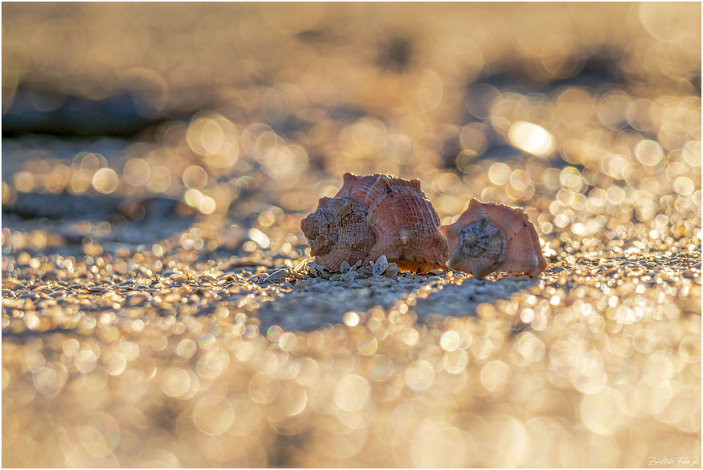 Grains of gold