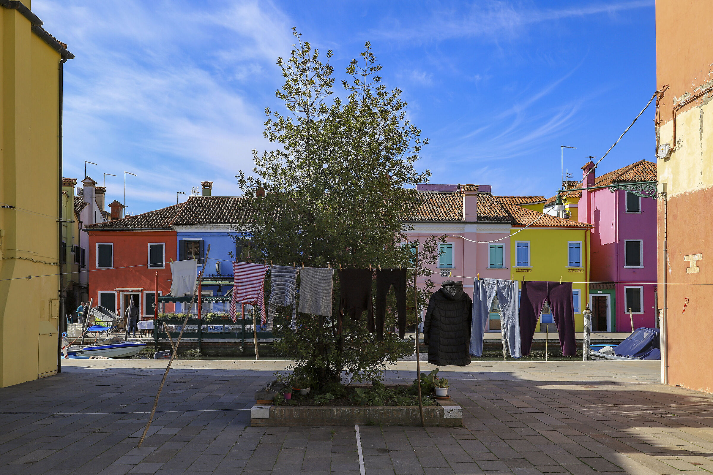 L'albero dei Colori