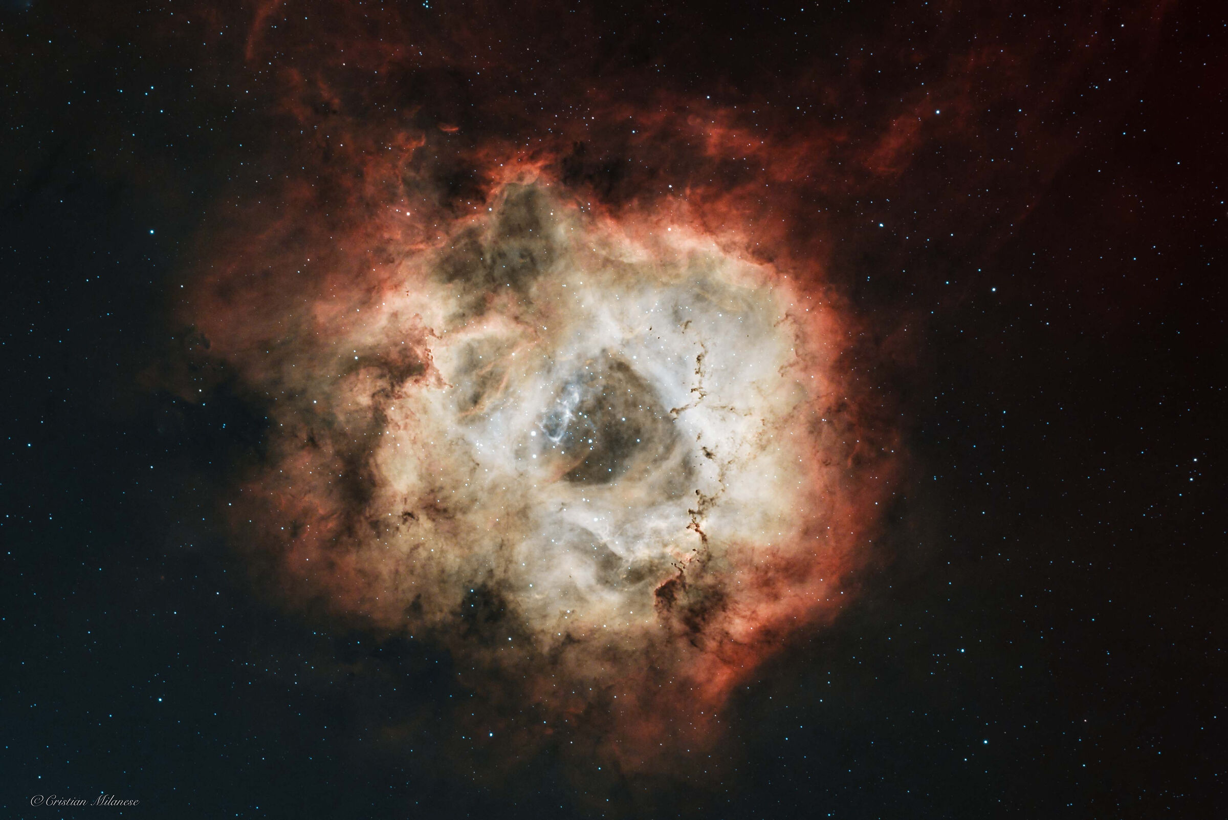 NCG2237