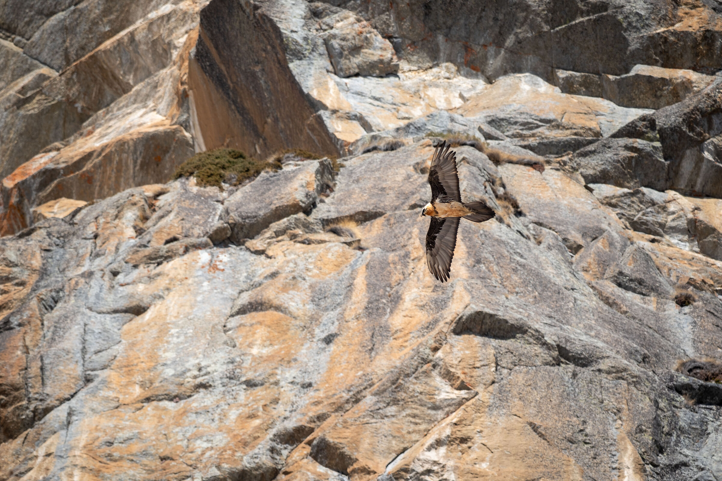 Giro di ricognizione