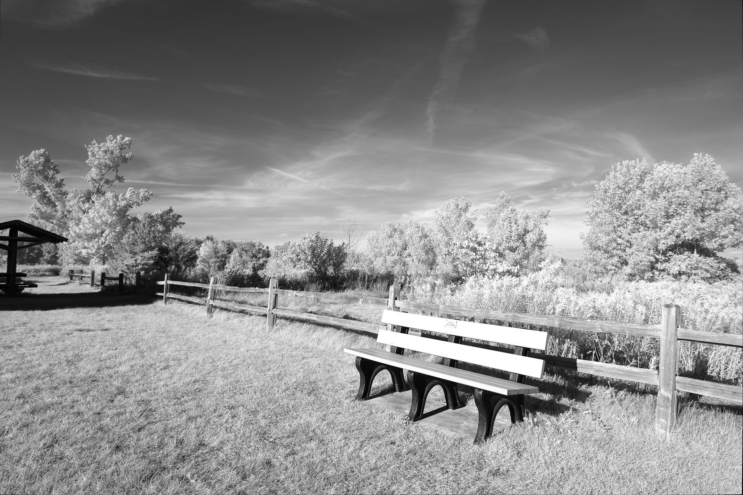 550nm, bianco e nero