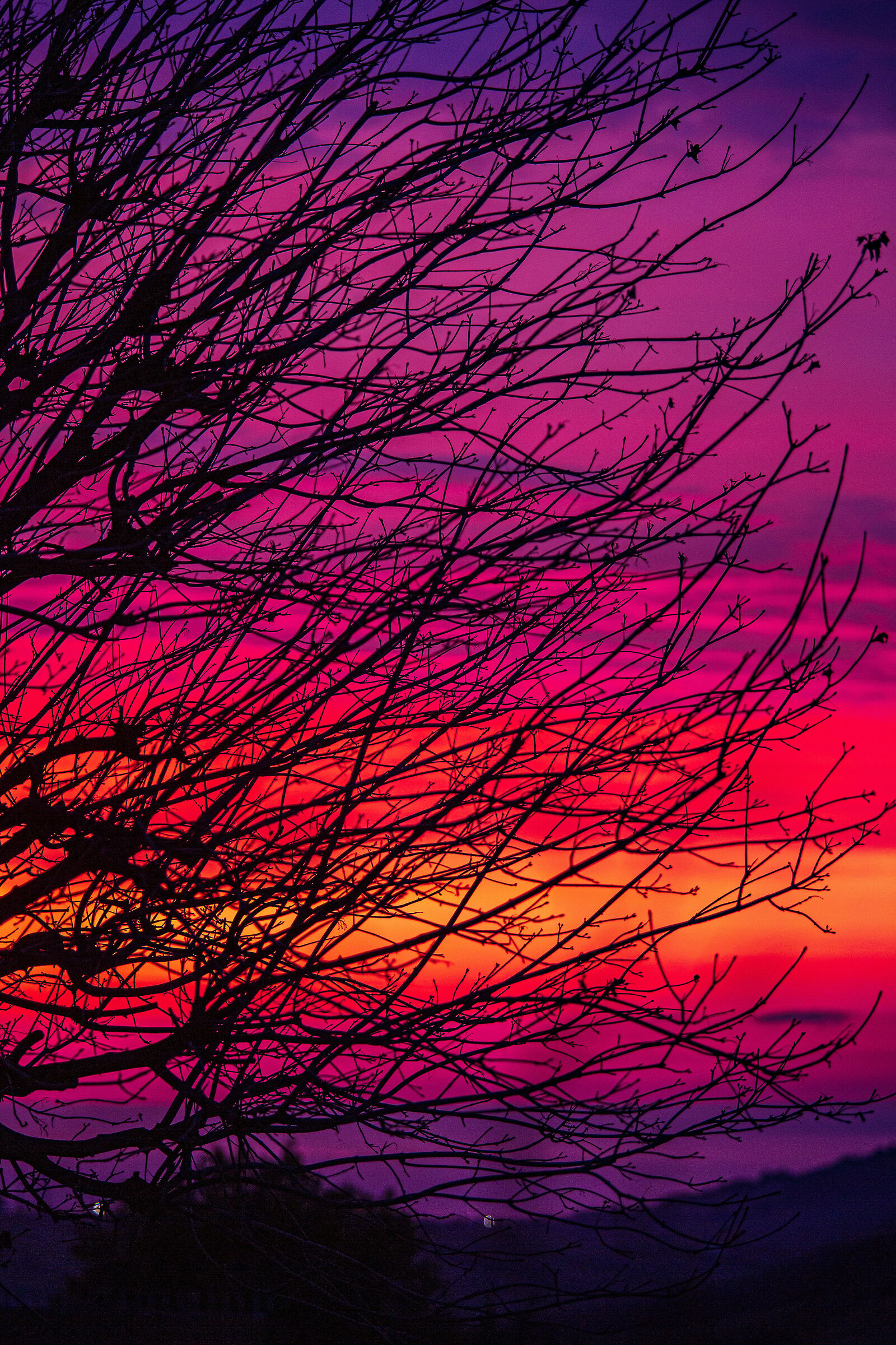 Between winter and spring