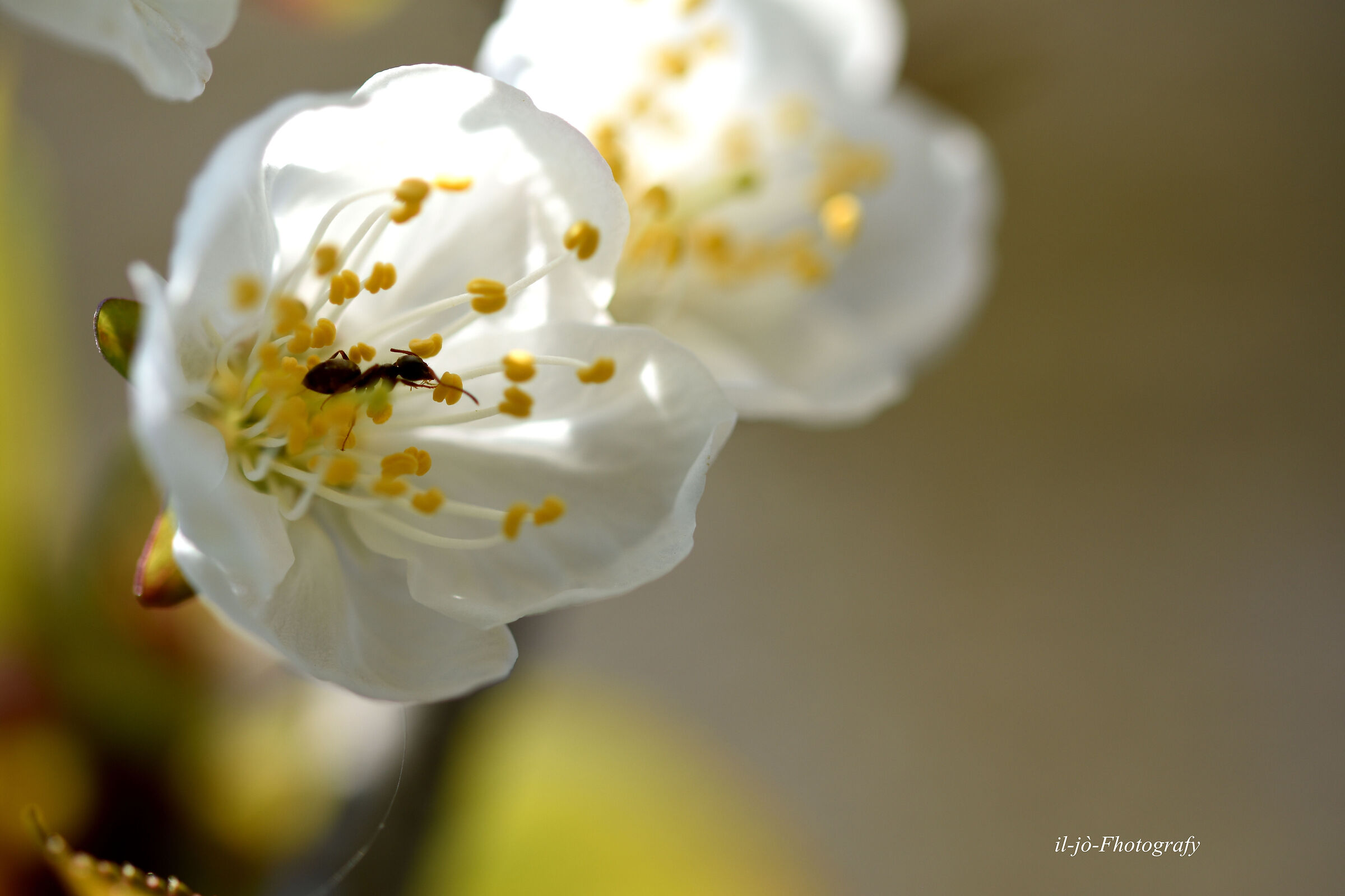 Untitled Photo