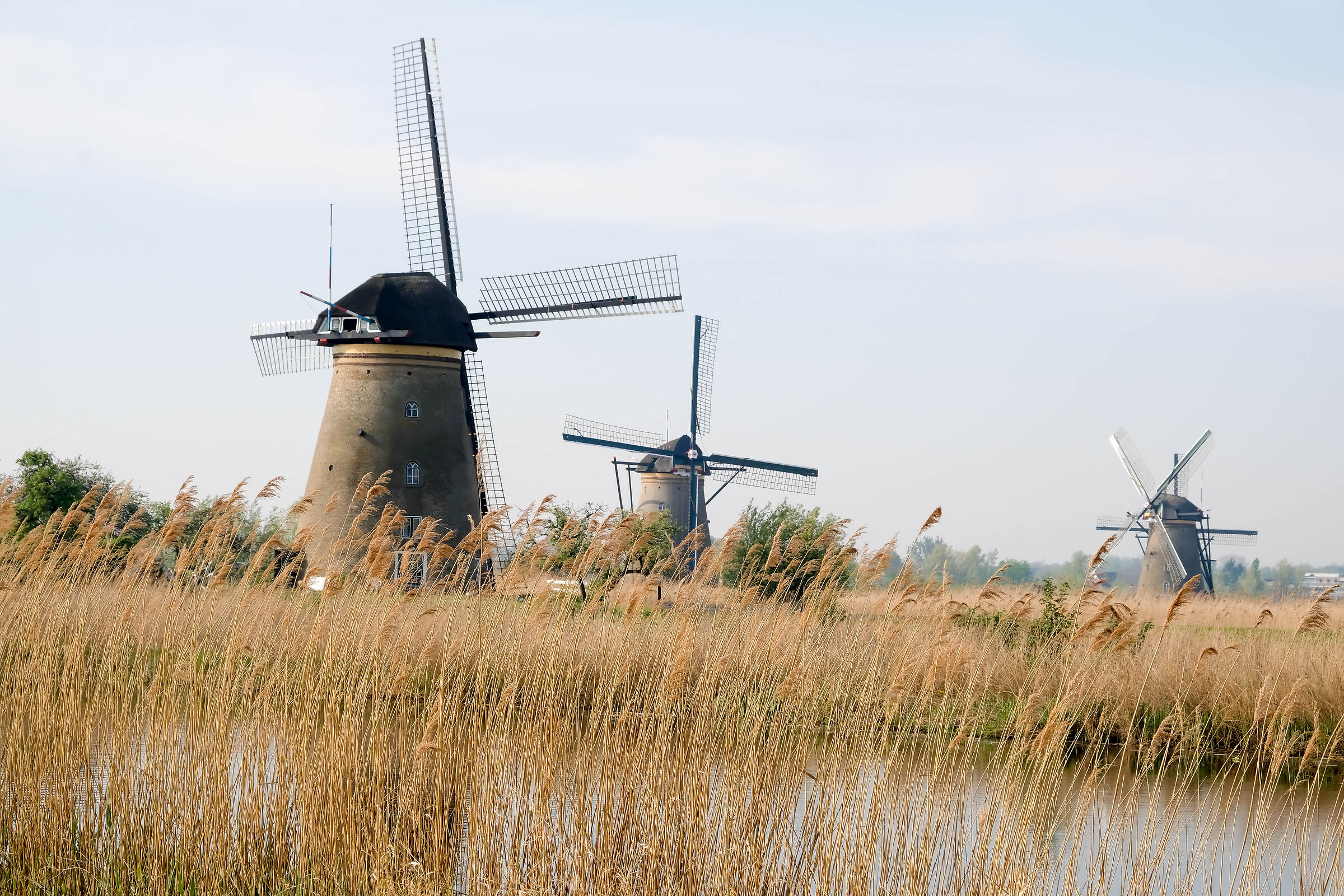 Kinderdijk