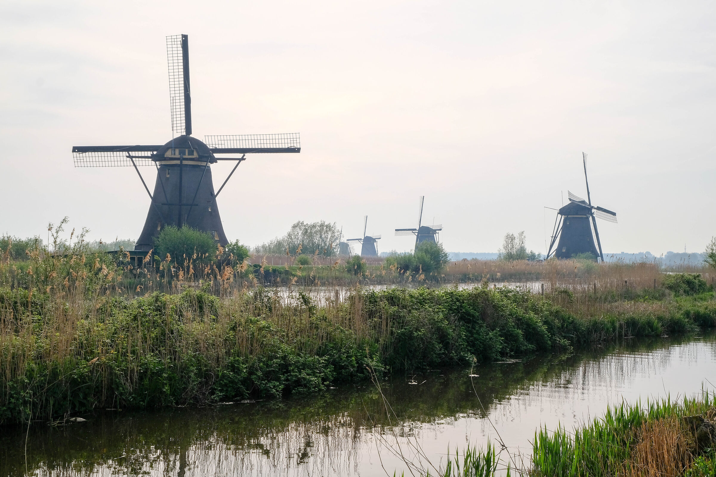 Kinderdijk-1