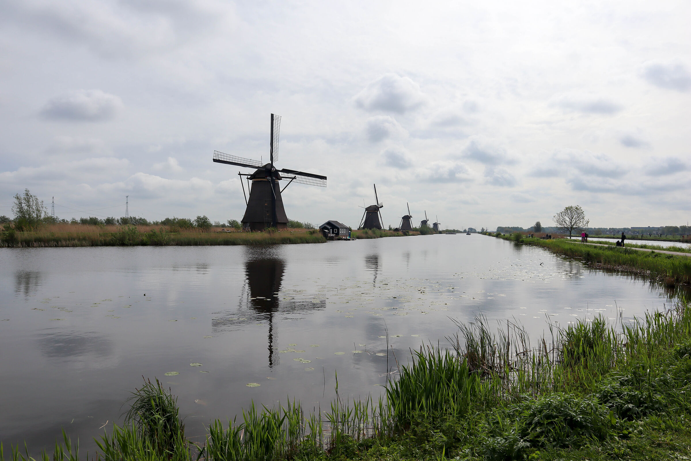 Kinderdijk-3