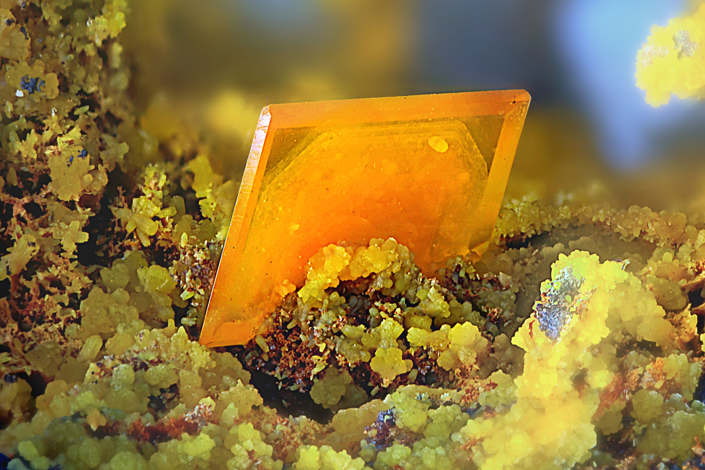 Wulfenite-Plaka mine-Laurion-Greece-5.1mm Fov