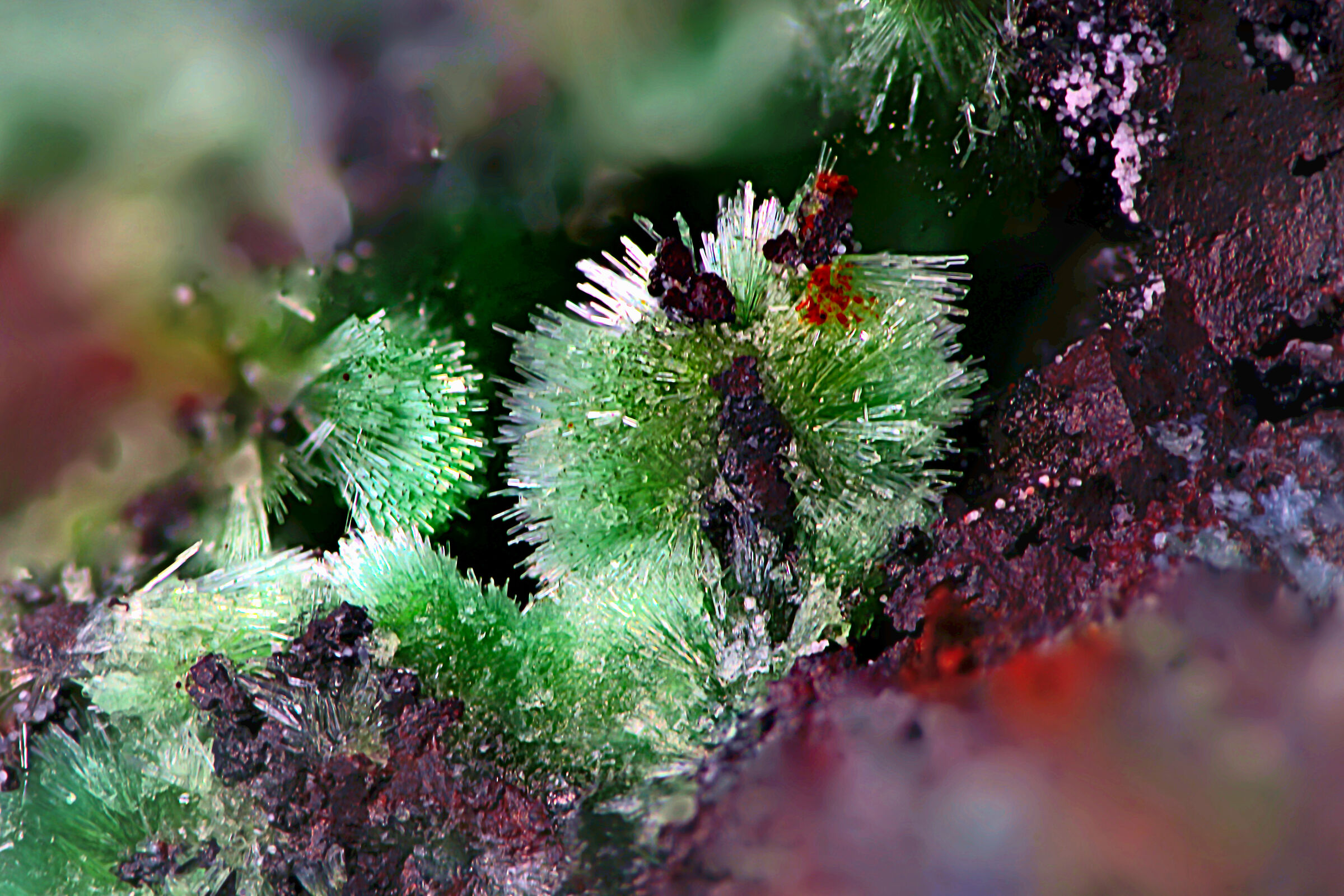 Olivenite-Kamriza-Laurion-Greece-Fov 3mm