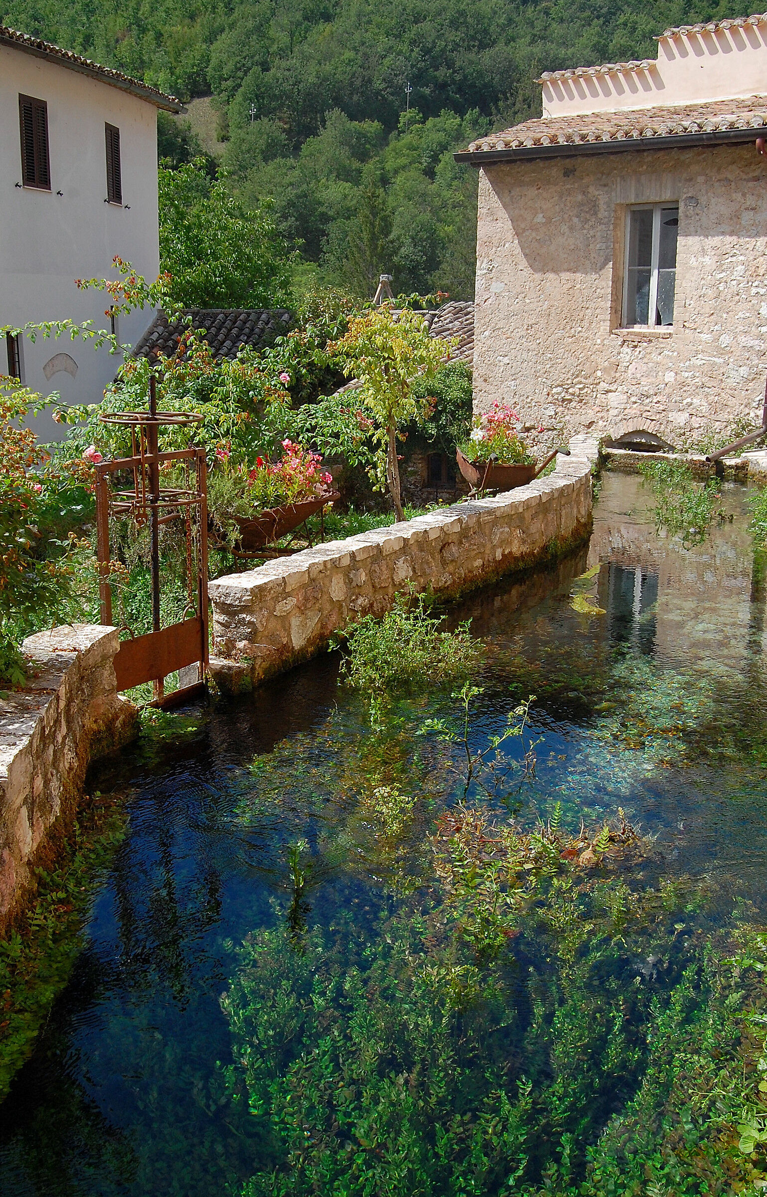 The streams of Rasiglia