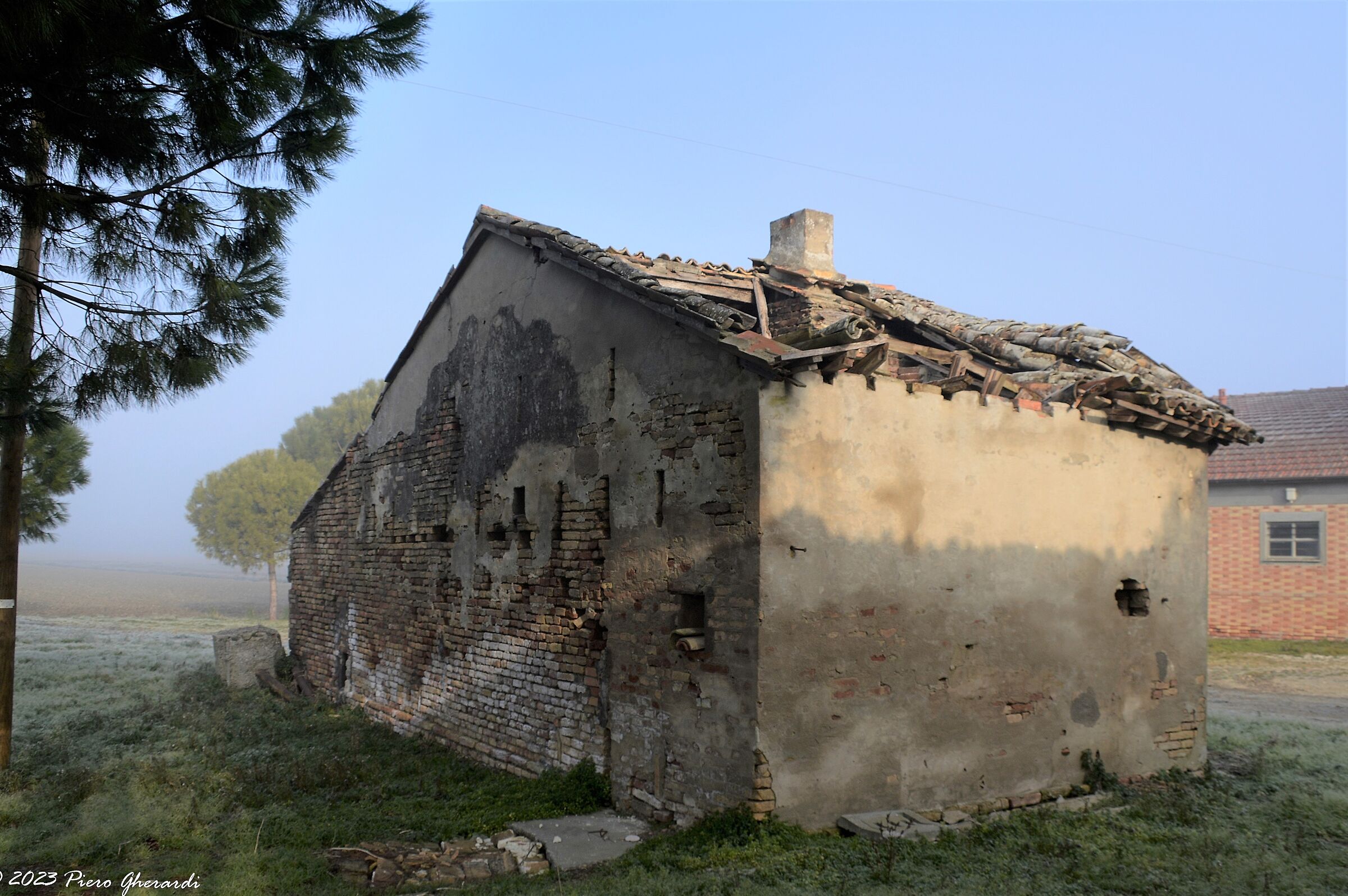 Ruderi