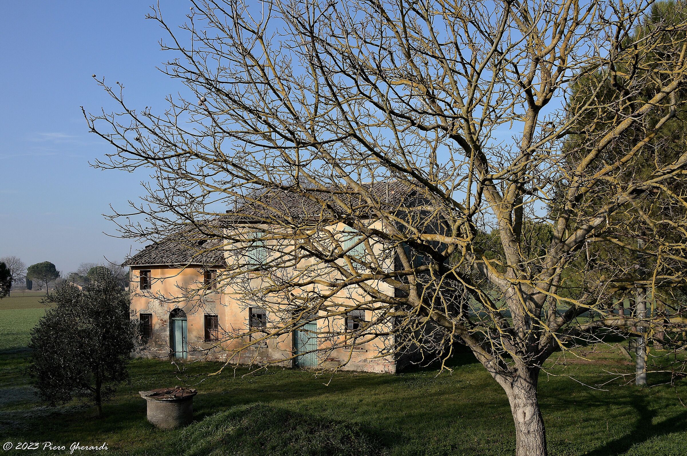 Ruderi