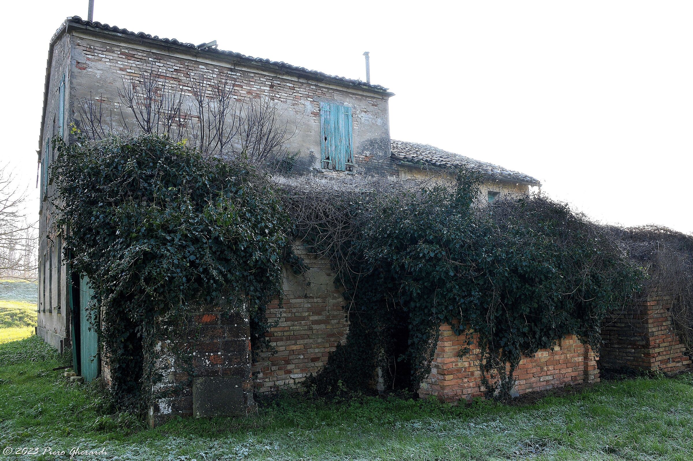 Ruderi