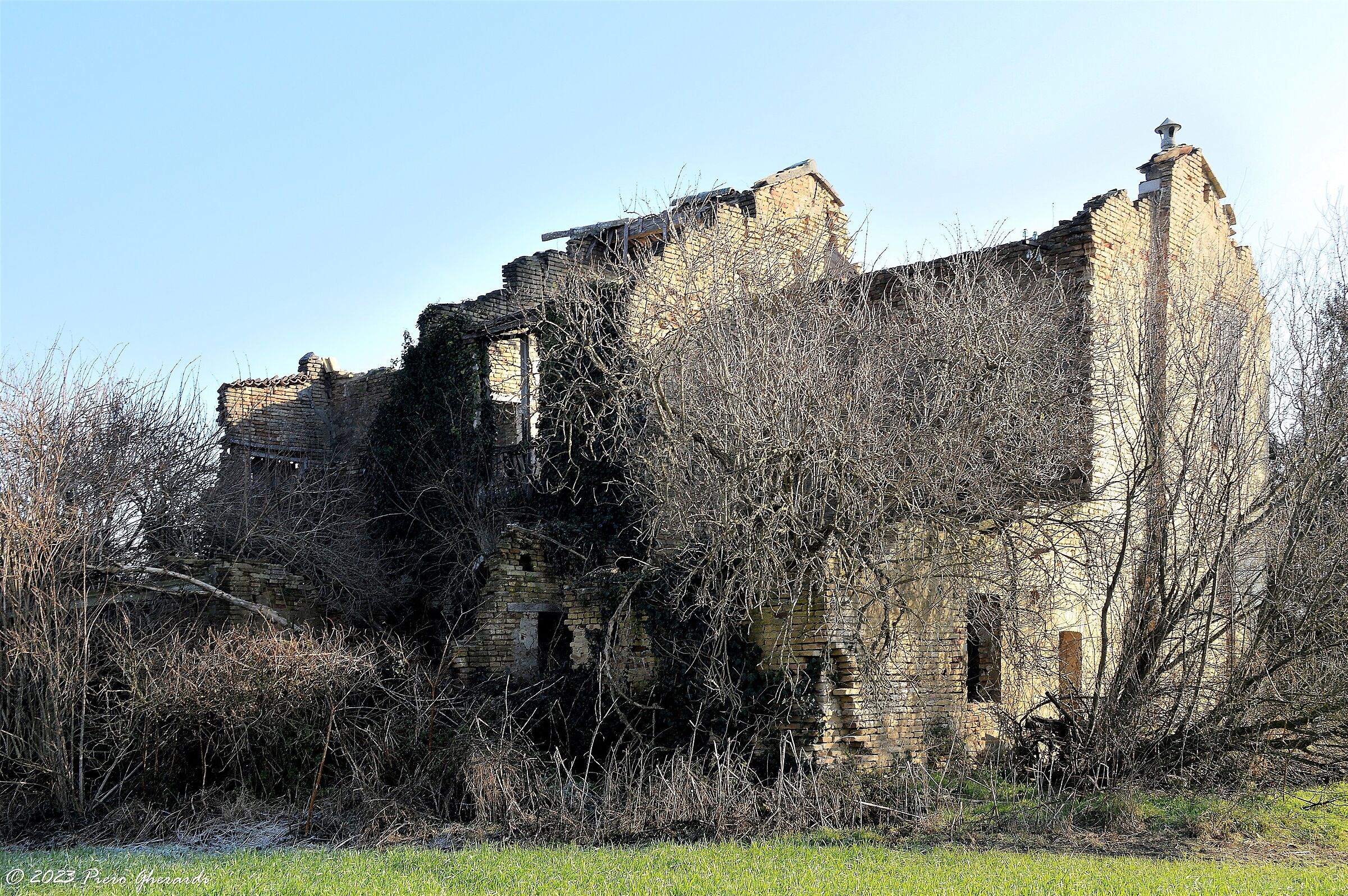 Ruderi