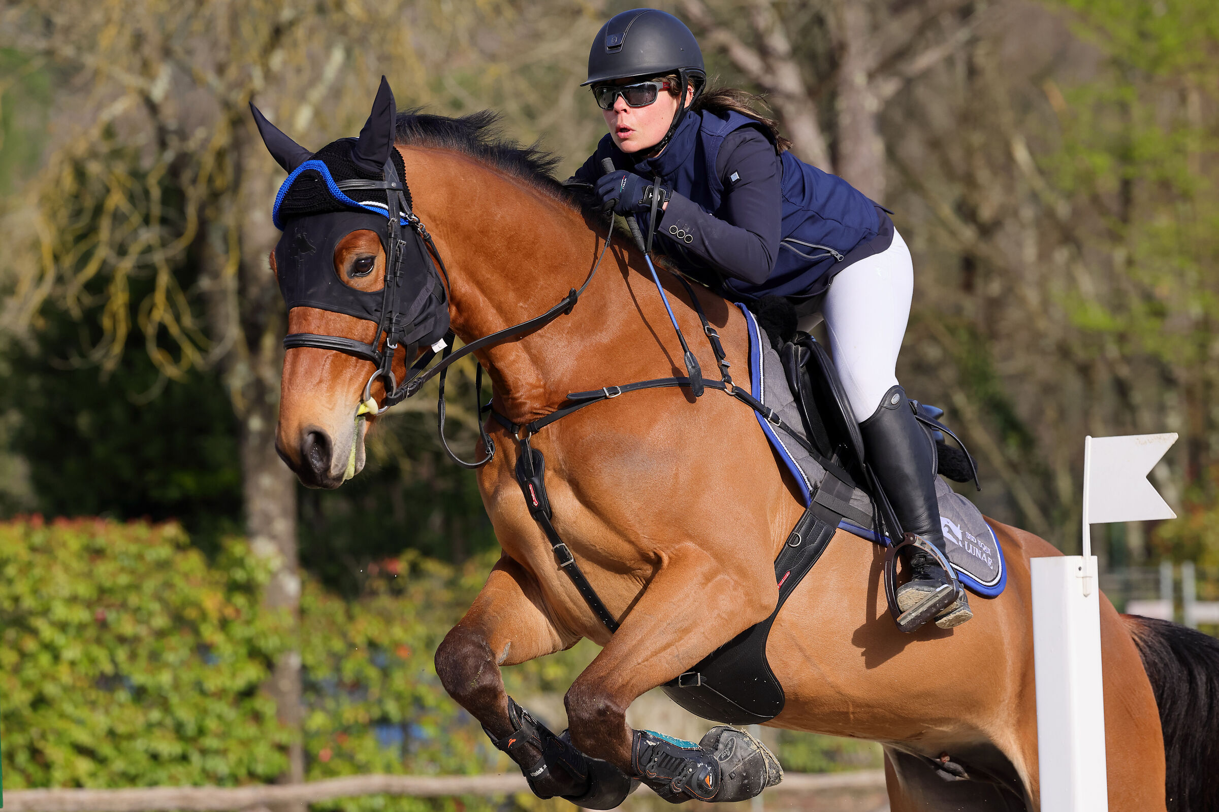 Gran Premio Pistoia Equestrian Center