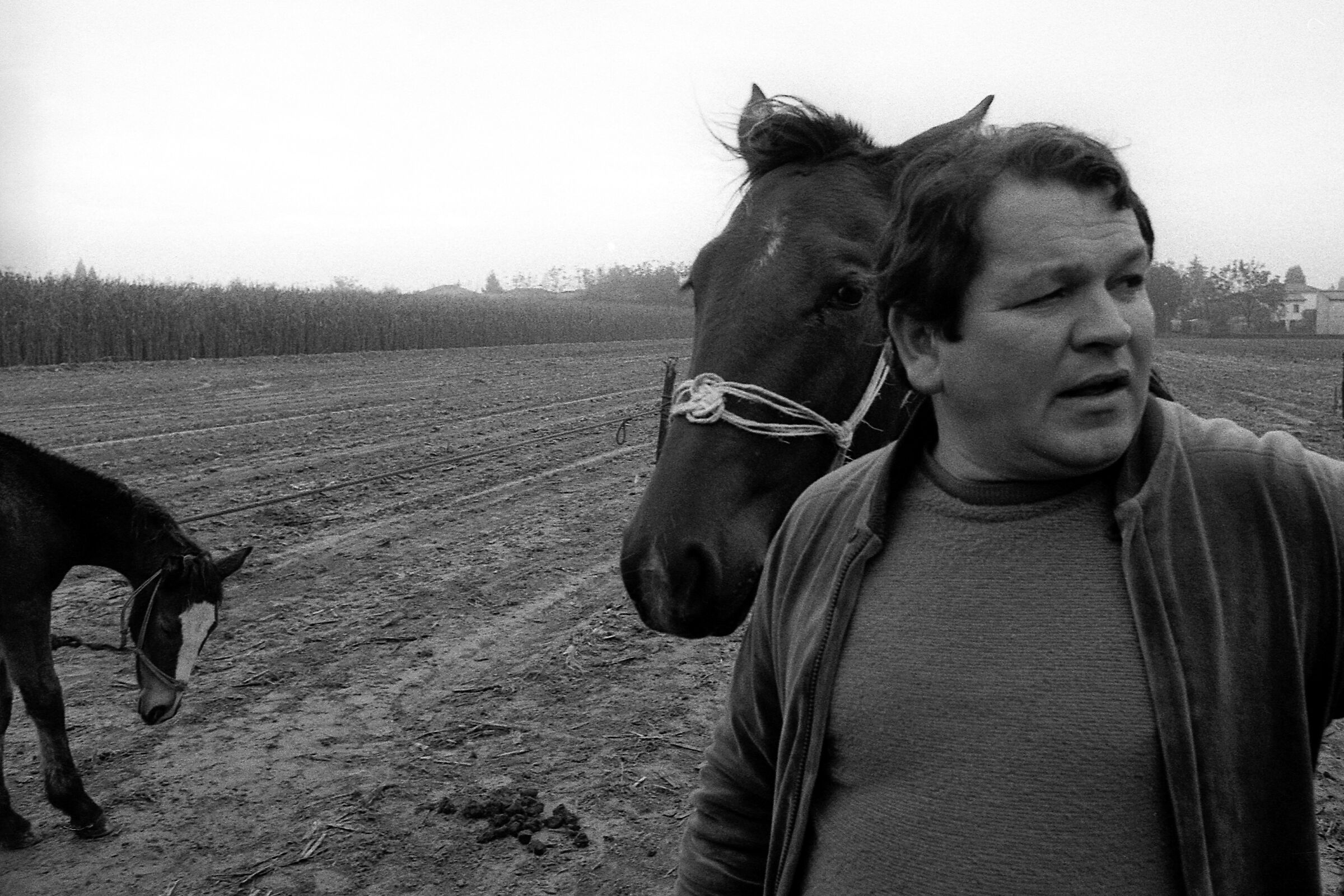 1987 Piazzola s. B. "fiera franca"