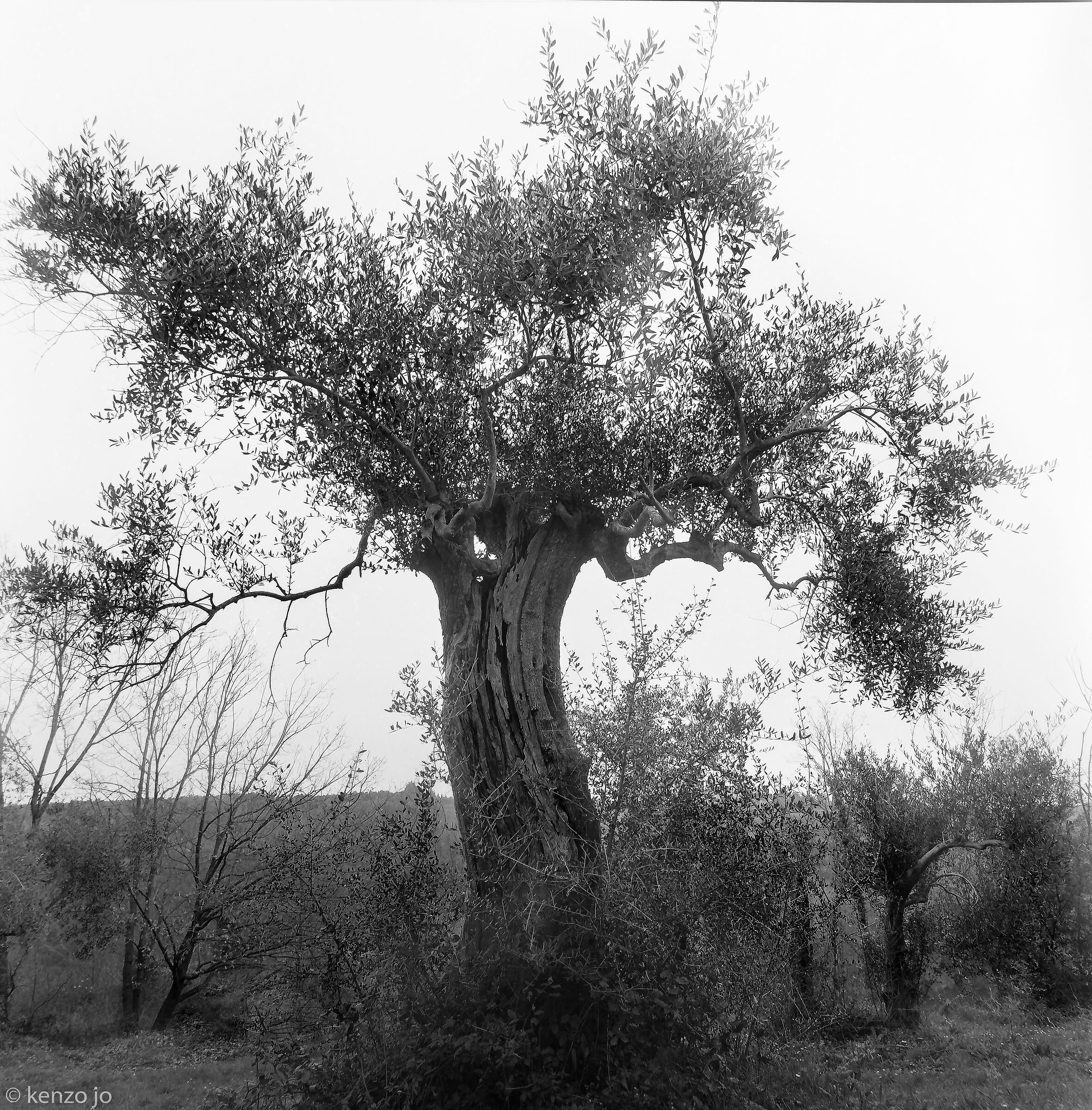 Sotto un cielo di piombo