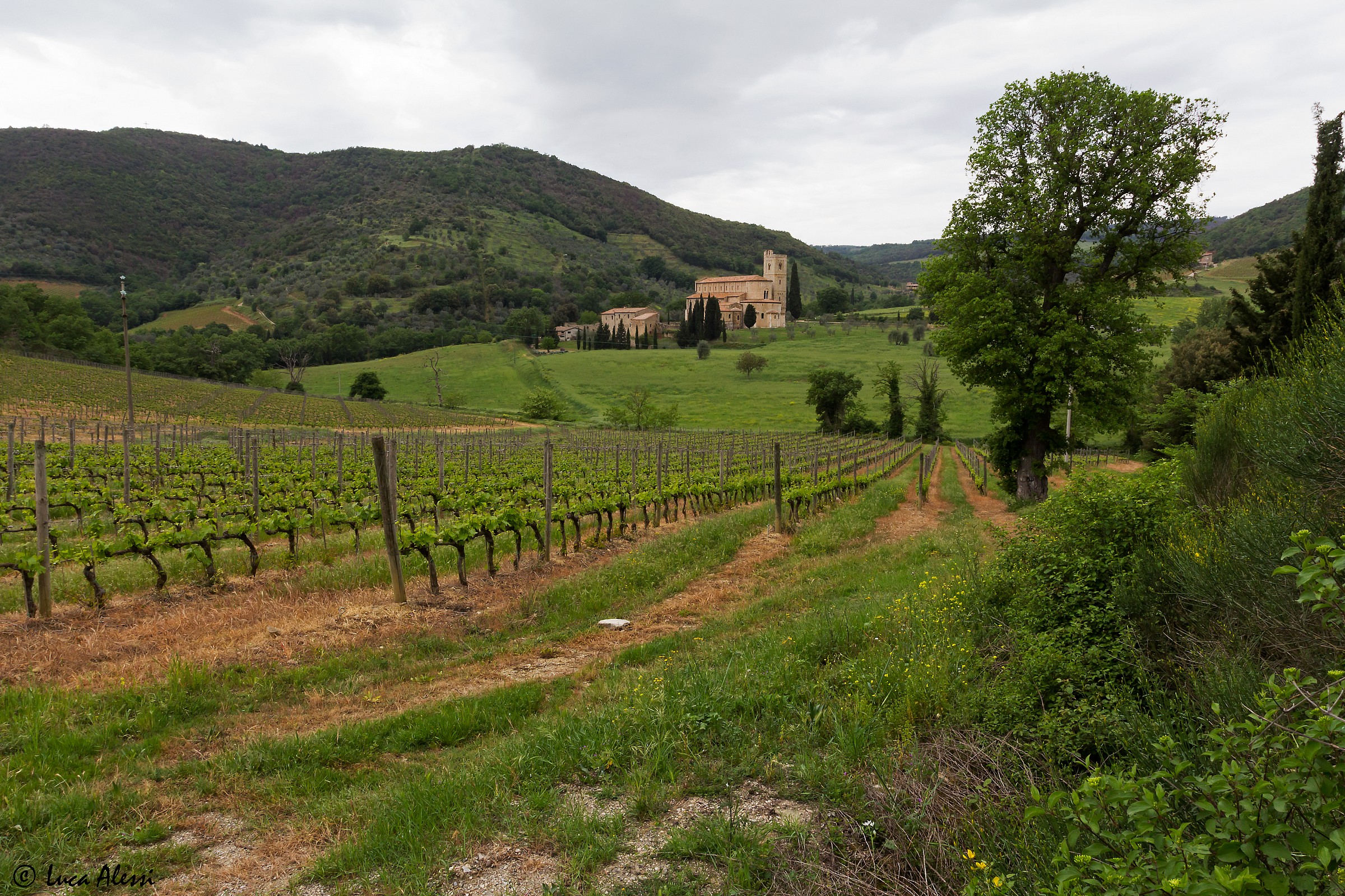 St. Antimo and the surrounding nature