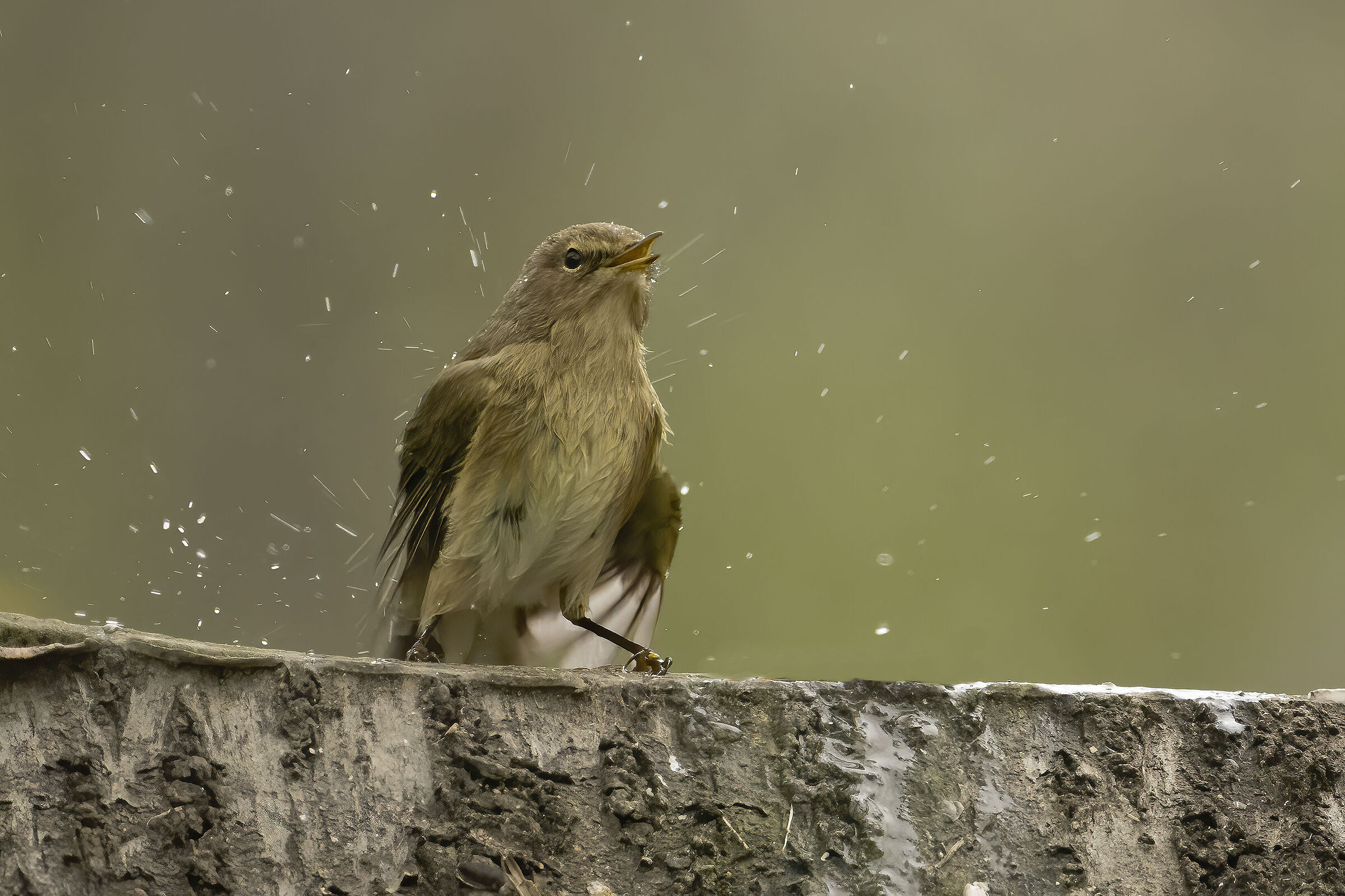 HIM's bath