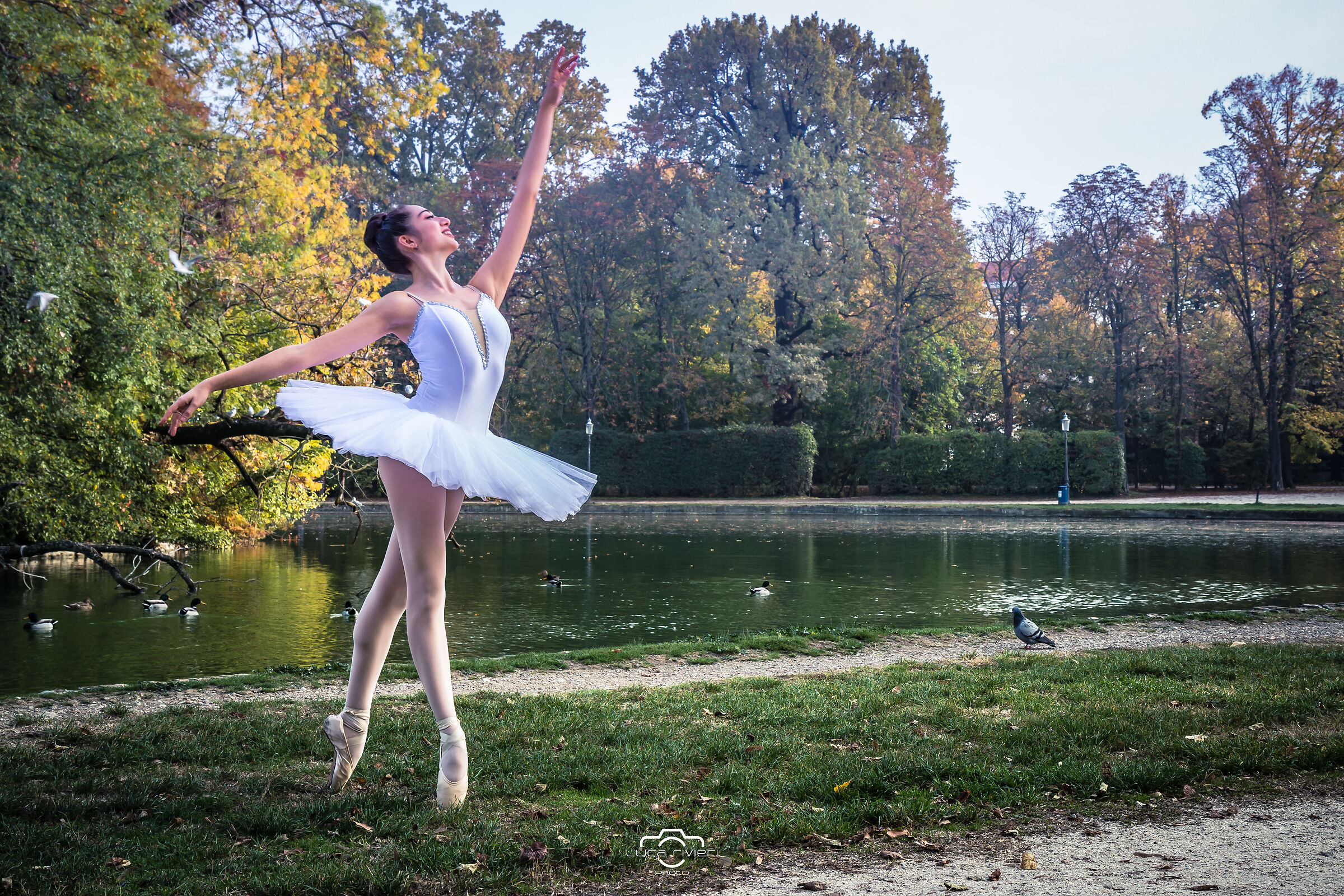 Bodies: Dance meets the city