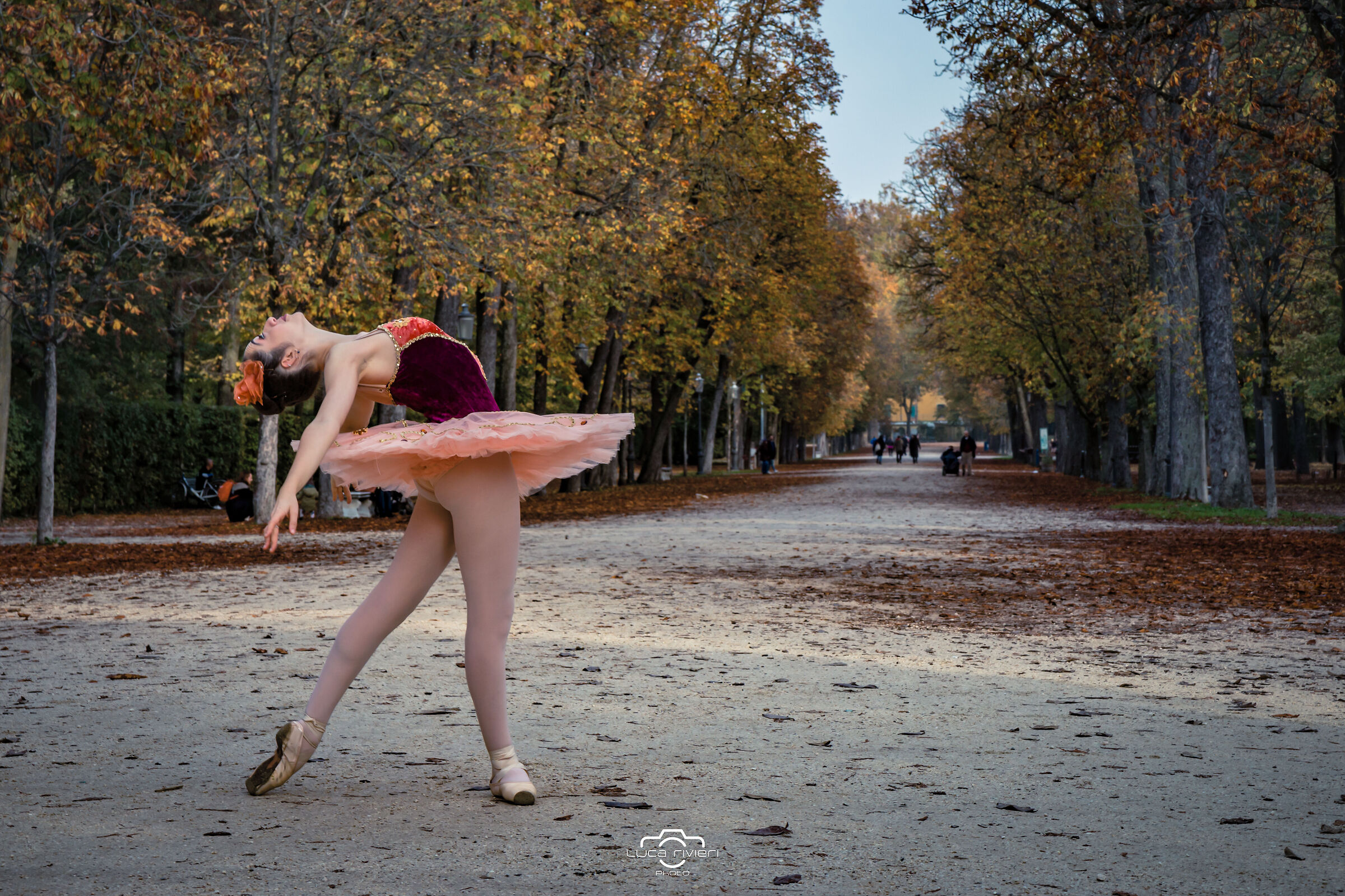 Bodies: Dance meets the city