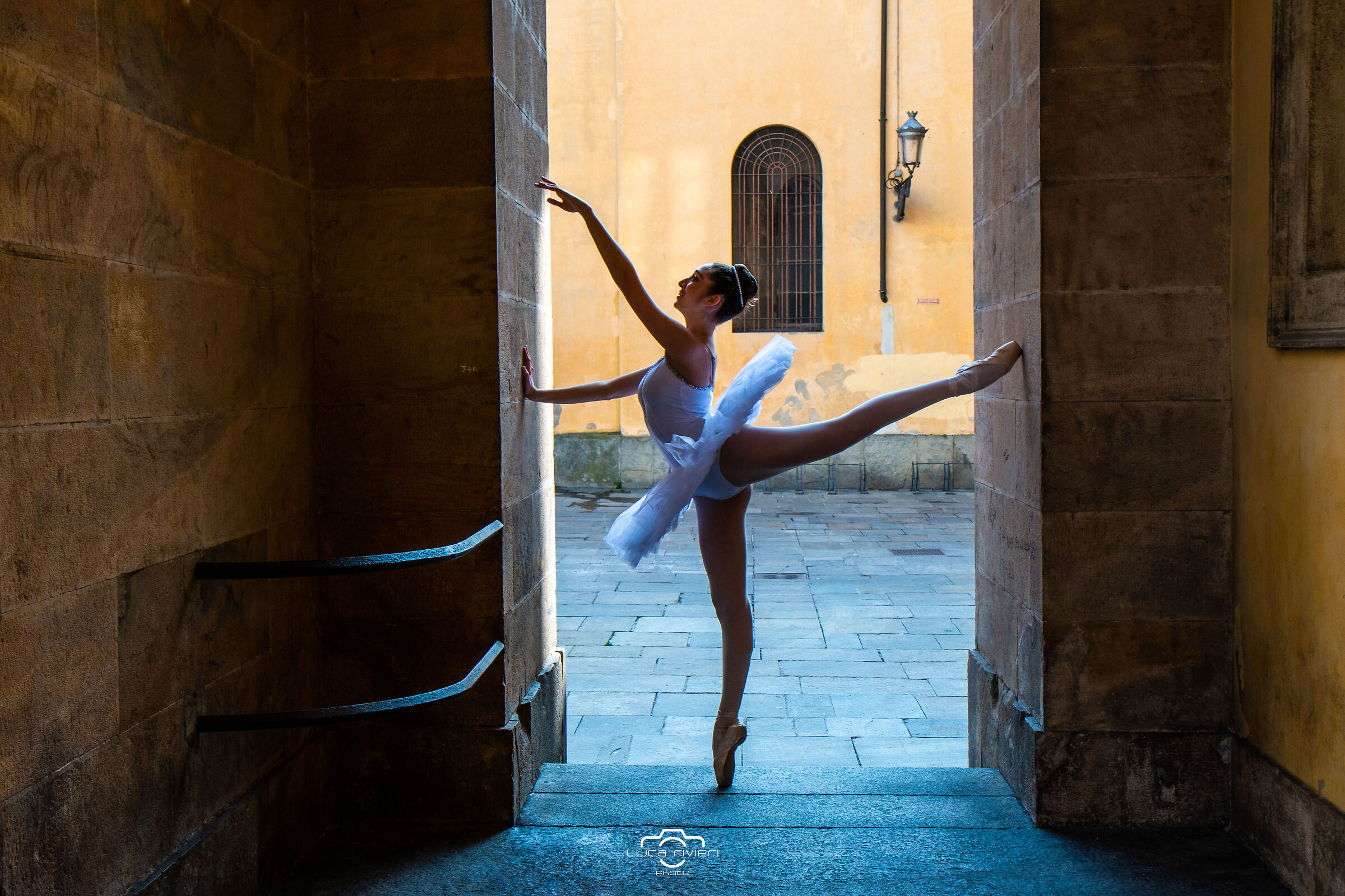 Bodies: Dance meets the city