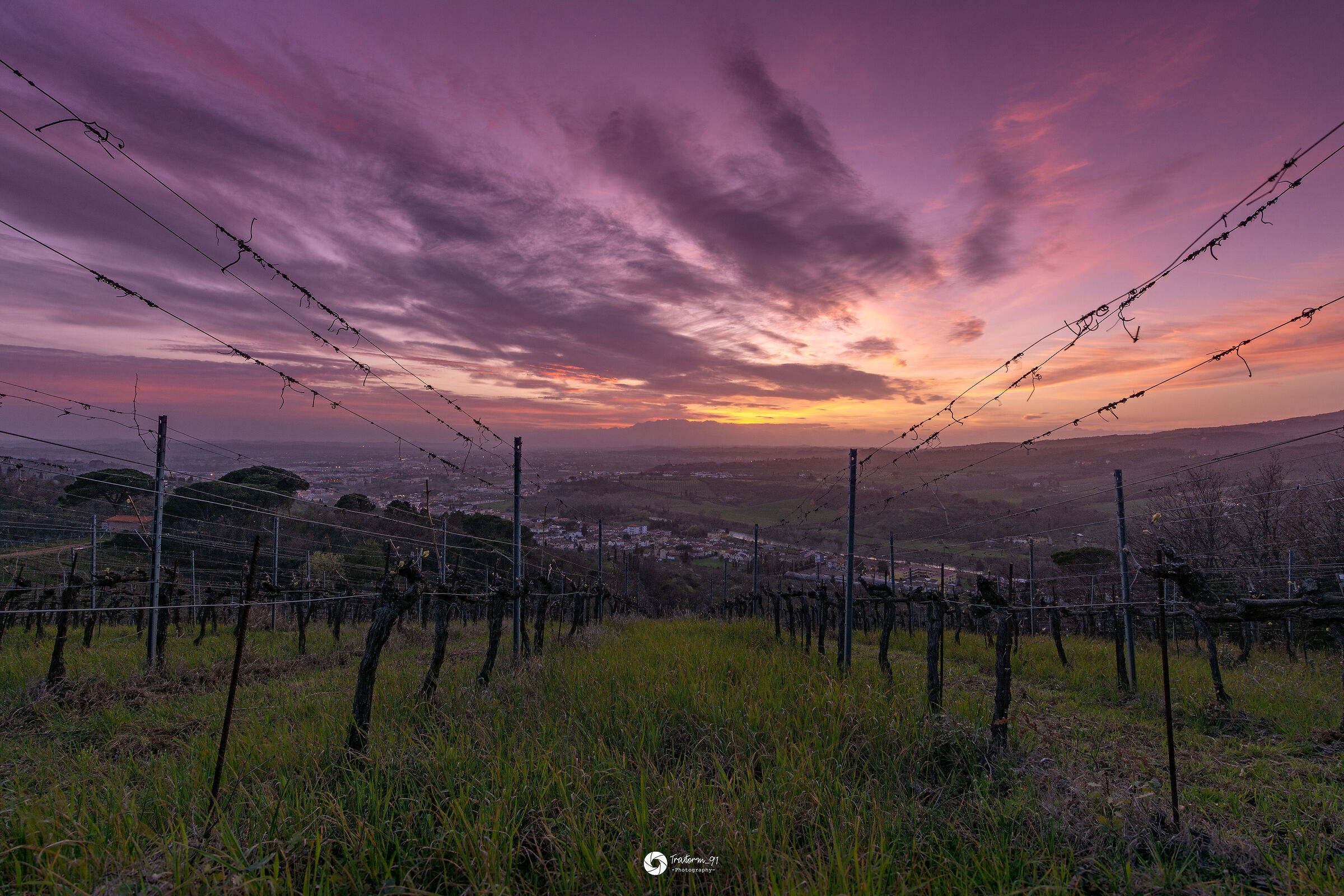 Tramonto dei viticoltori