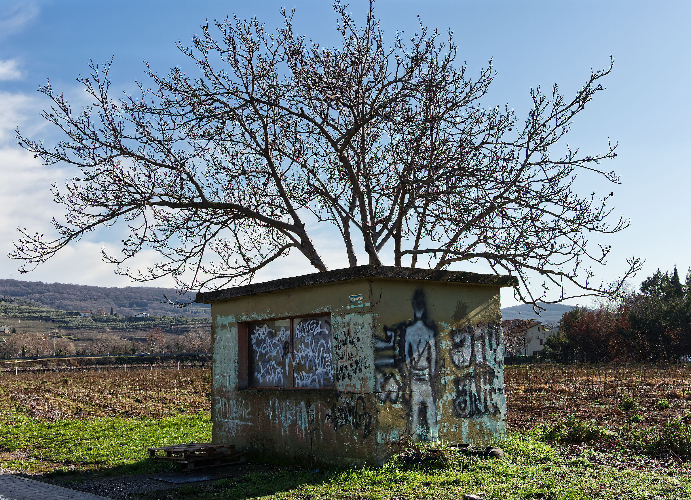 paradossi dei graffiti
