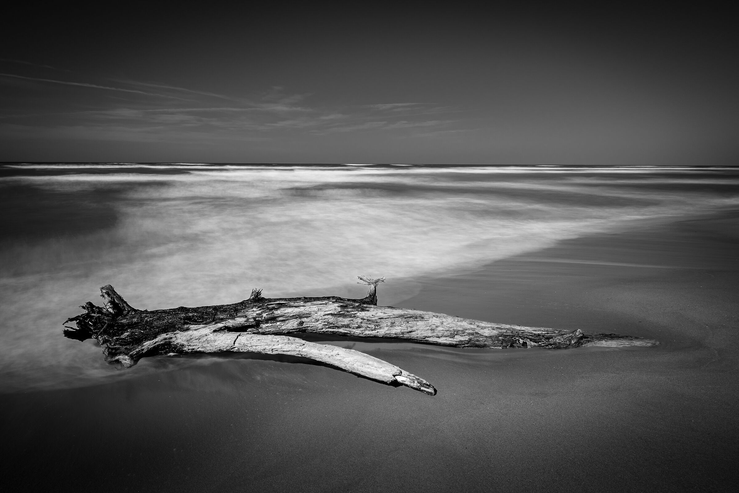 Sea (almost) in winter