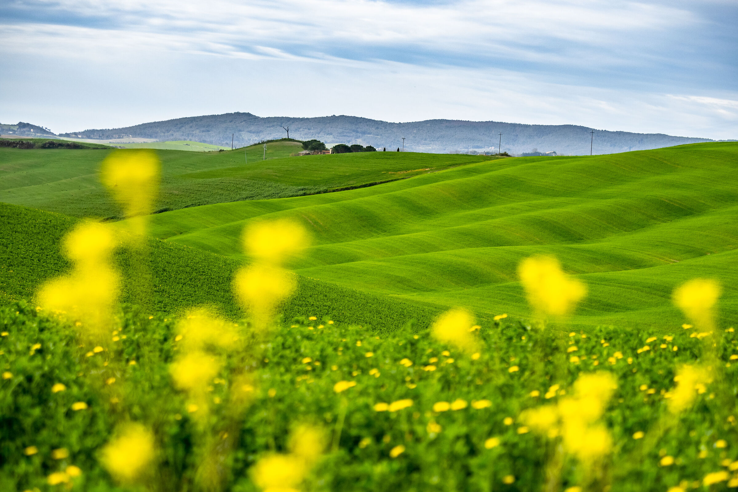Spring in Tuscany