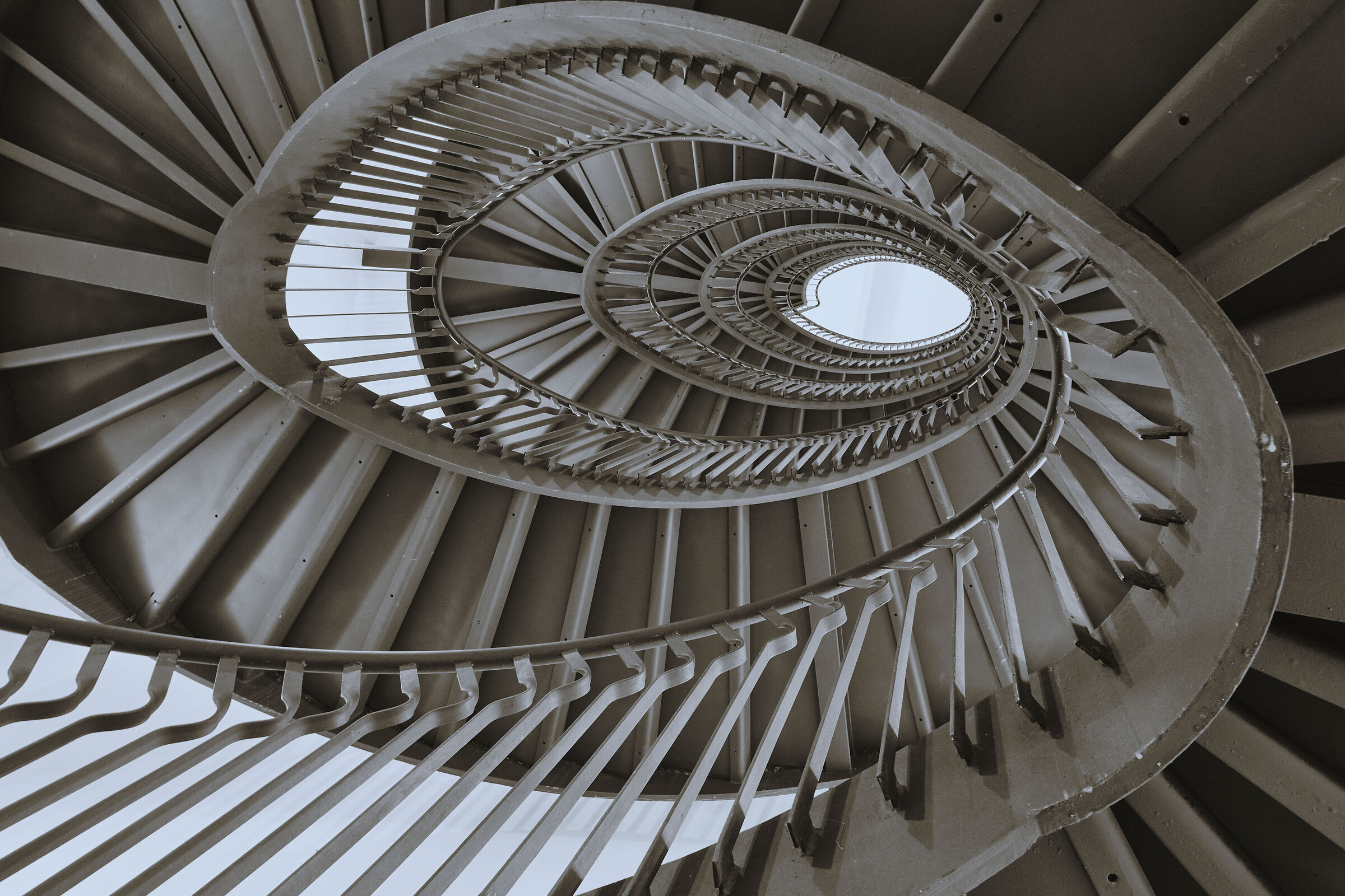 The spiral