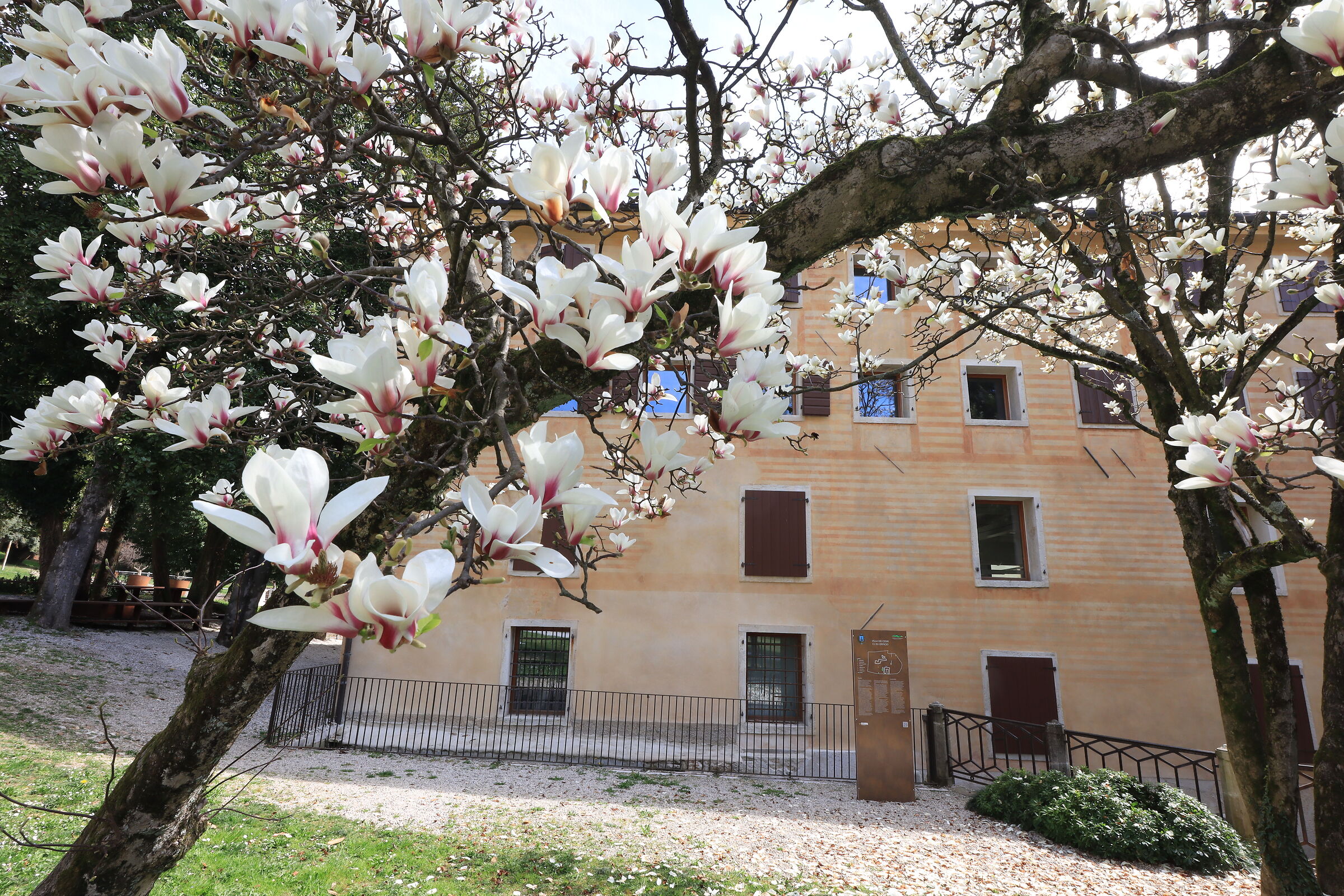 Primavera a Valdobbiadene