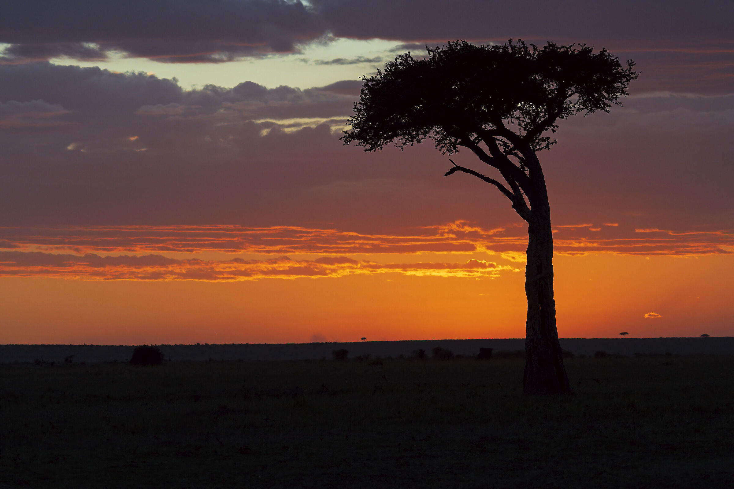 Masai Mara Sunset