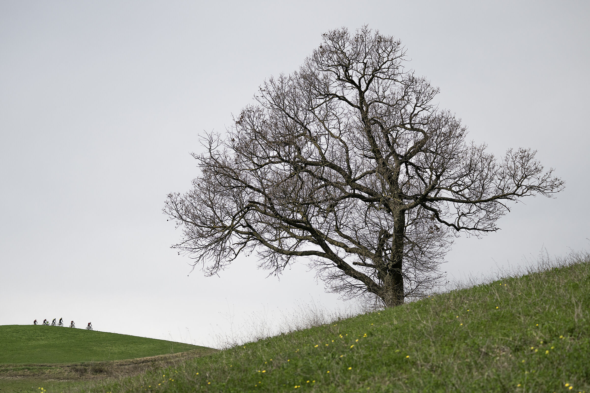 And how many more you will see....