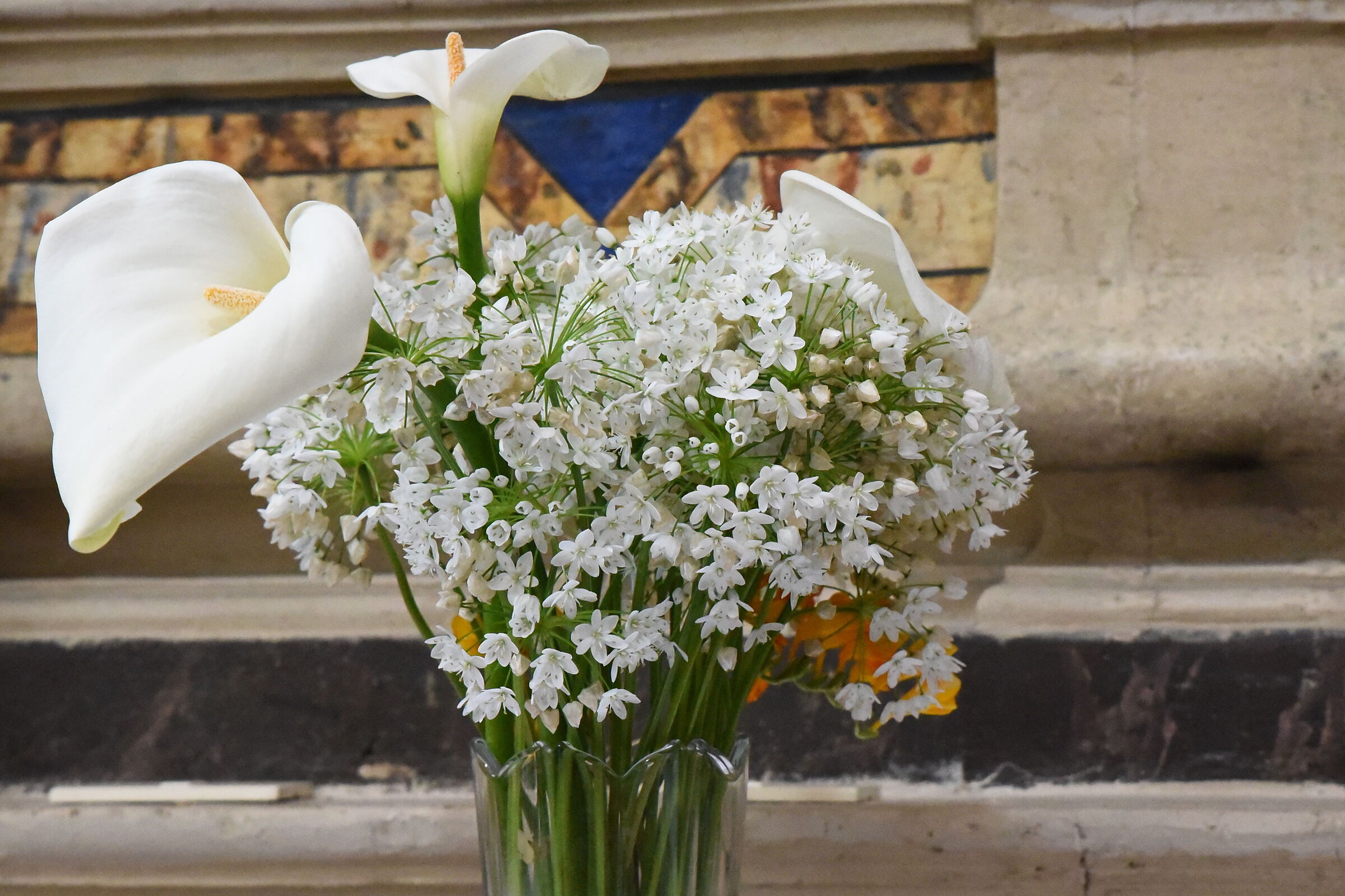 @ 70," ISO DodicimilaOttocento ", Nikon 24-70 F. 2...