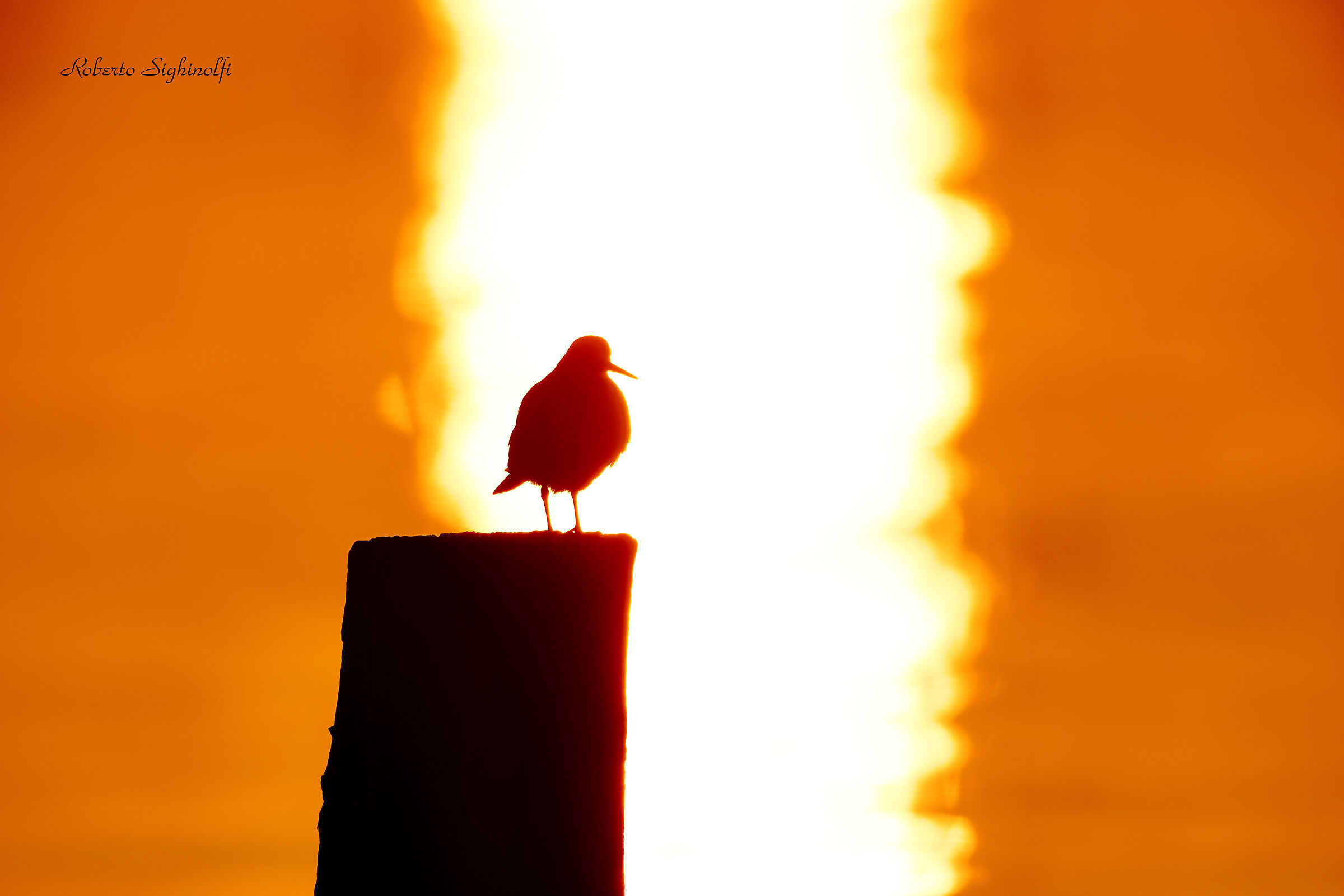 Controluce molto spinto