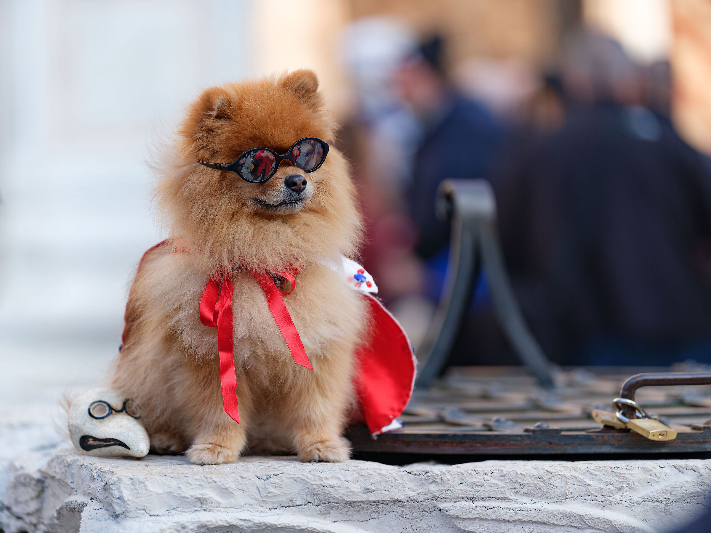 Maschera di Carnevale di Venezia