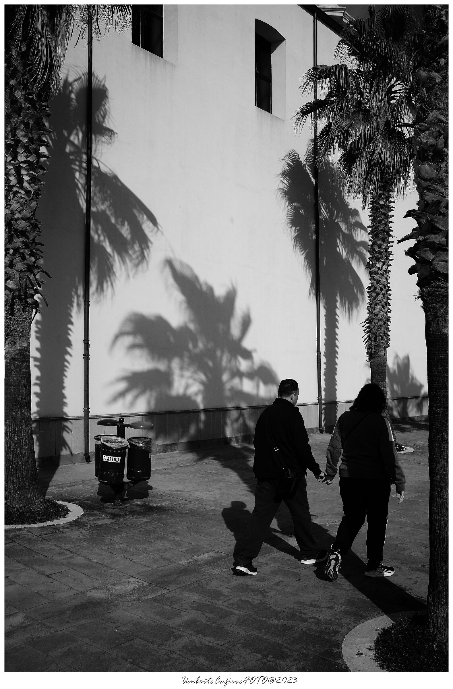 Passages between tree-lined poietions