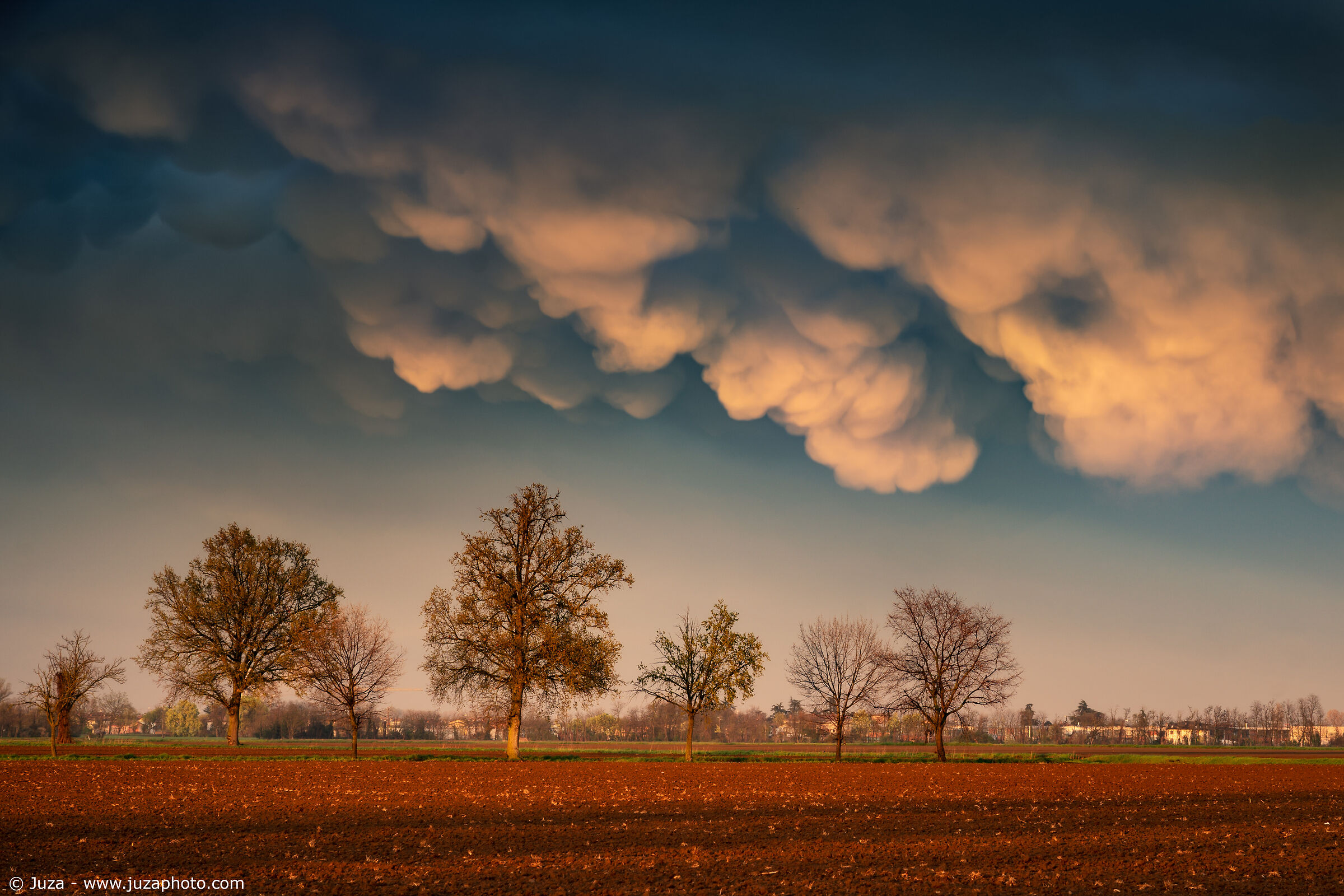 Tramonto (Marzo 2023)