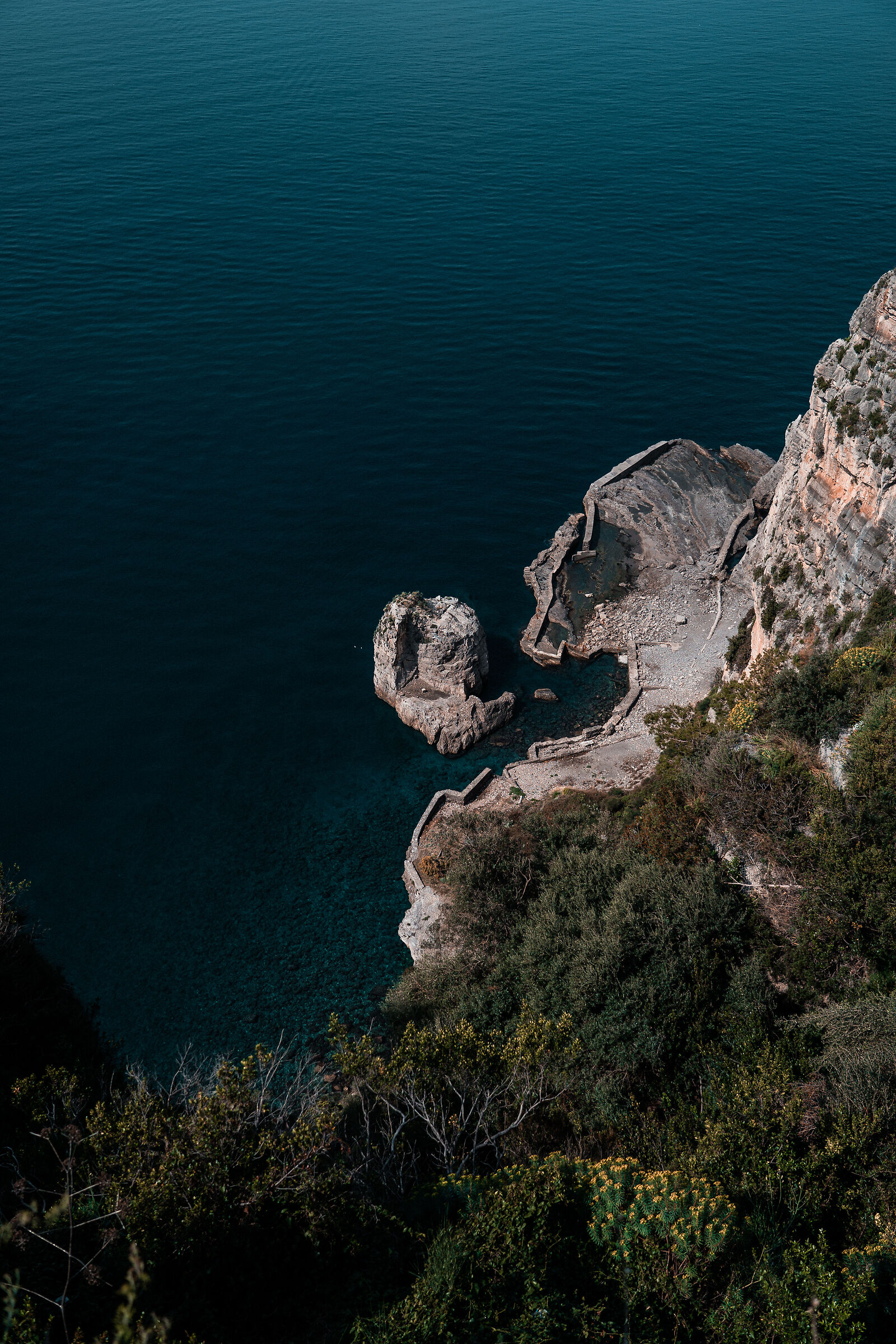 Untitled Photo